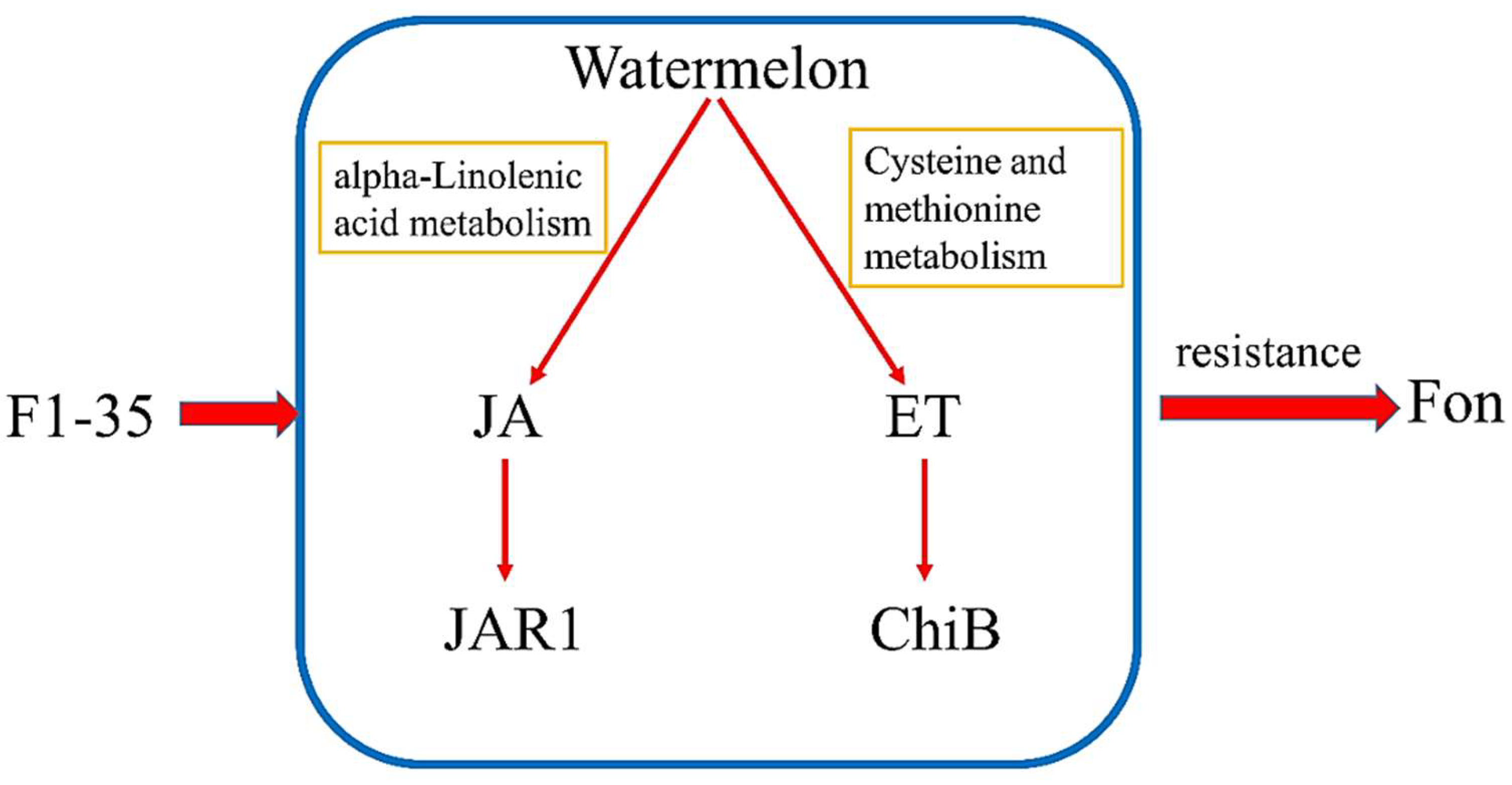 Microorganisms 10 01710 g004 550