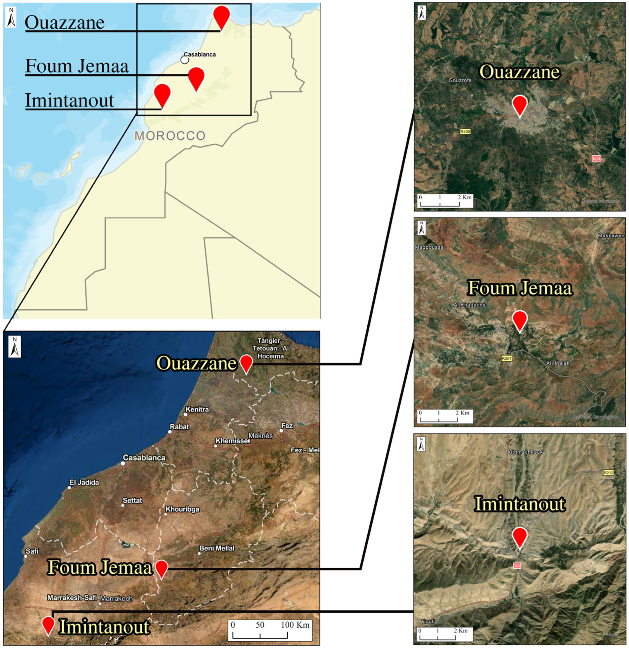 Microorganisms 10 01712 g001