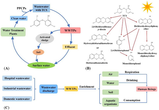 Degradation of Triclosan in the Water Environment by