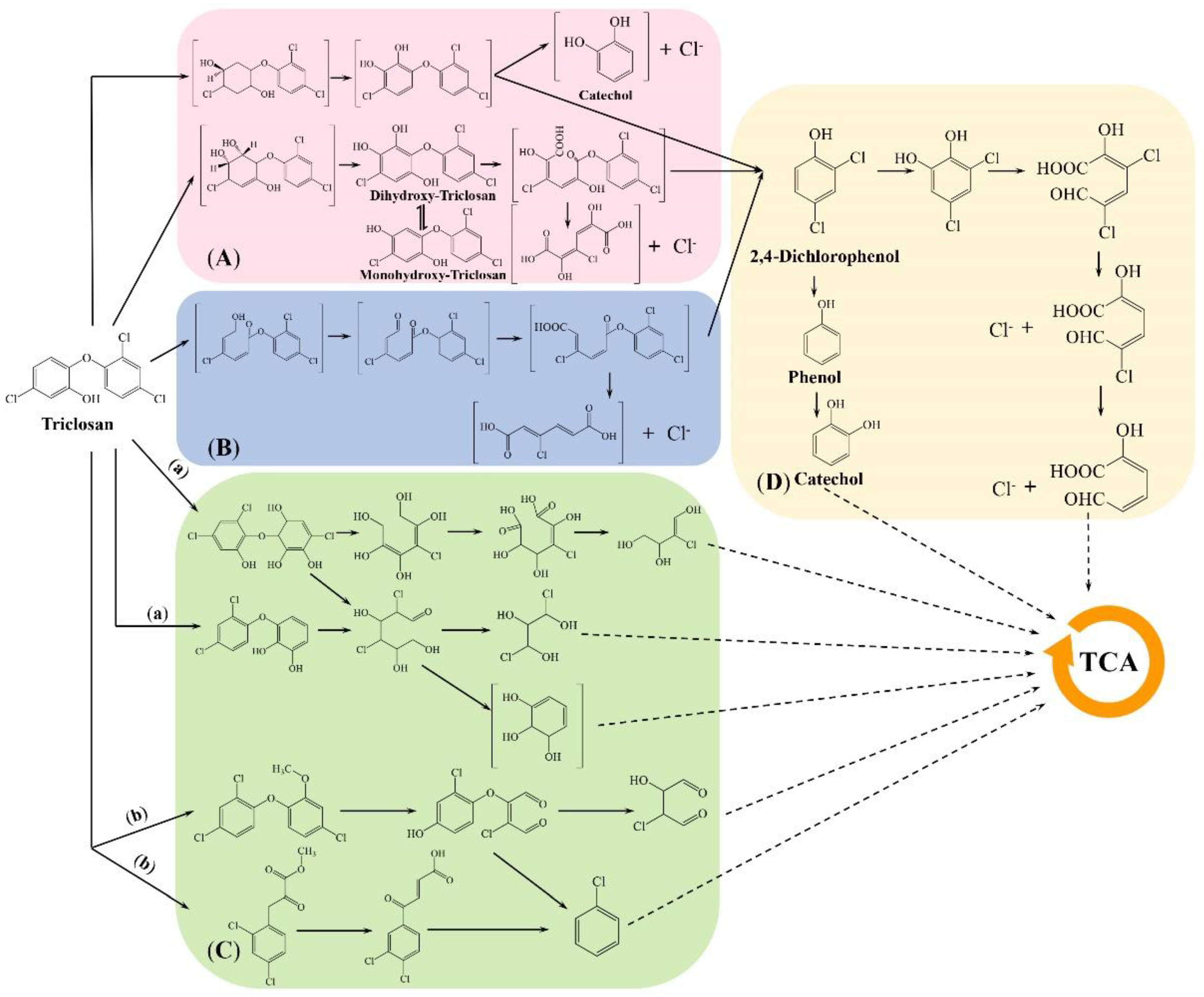 専用ページ② Degradation of Triclosan in the Water Environment by