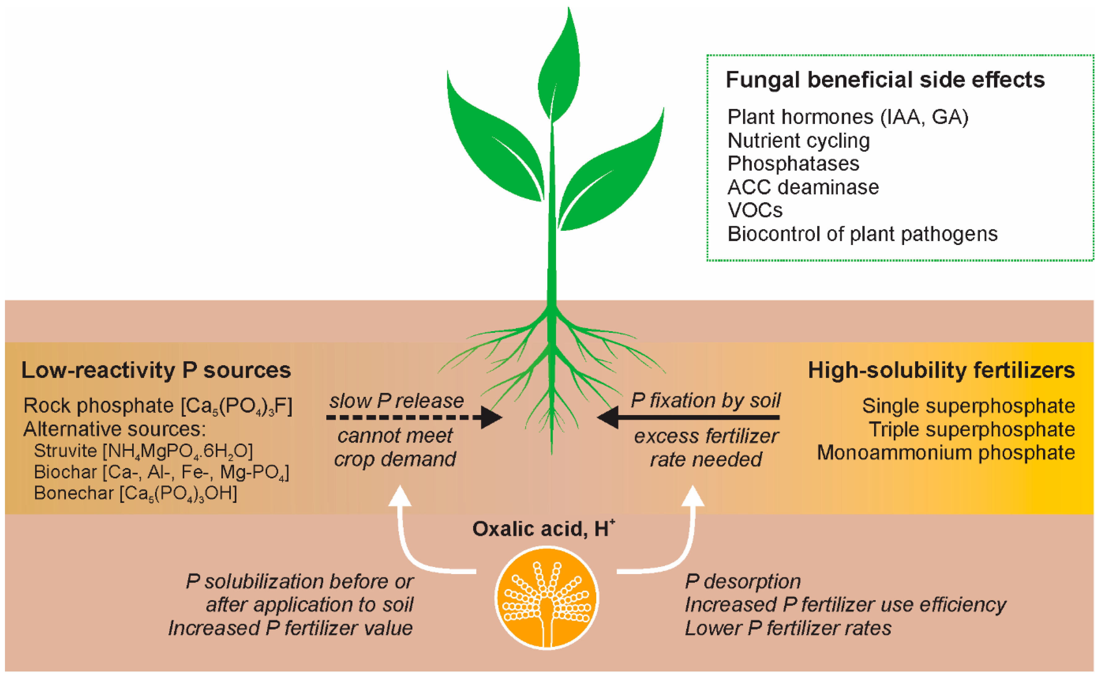 Phosphorus nitrogen sensing and signaling in diverse 60 off
