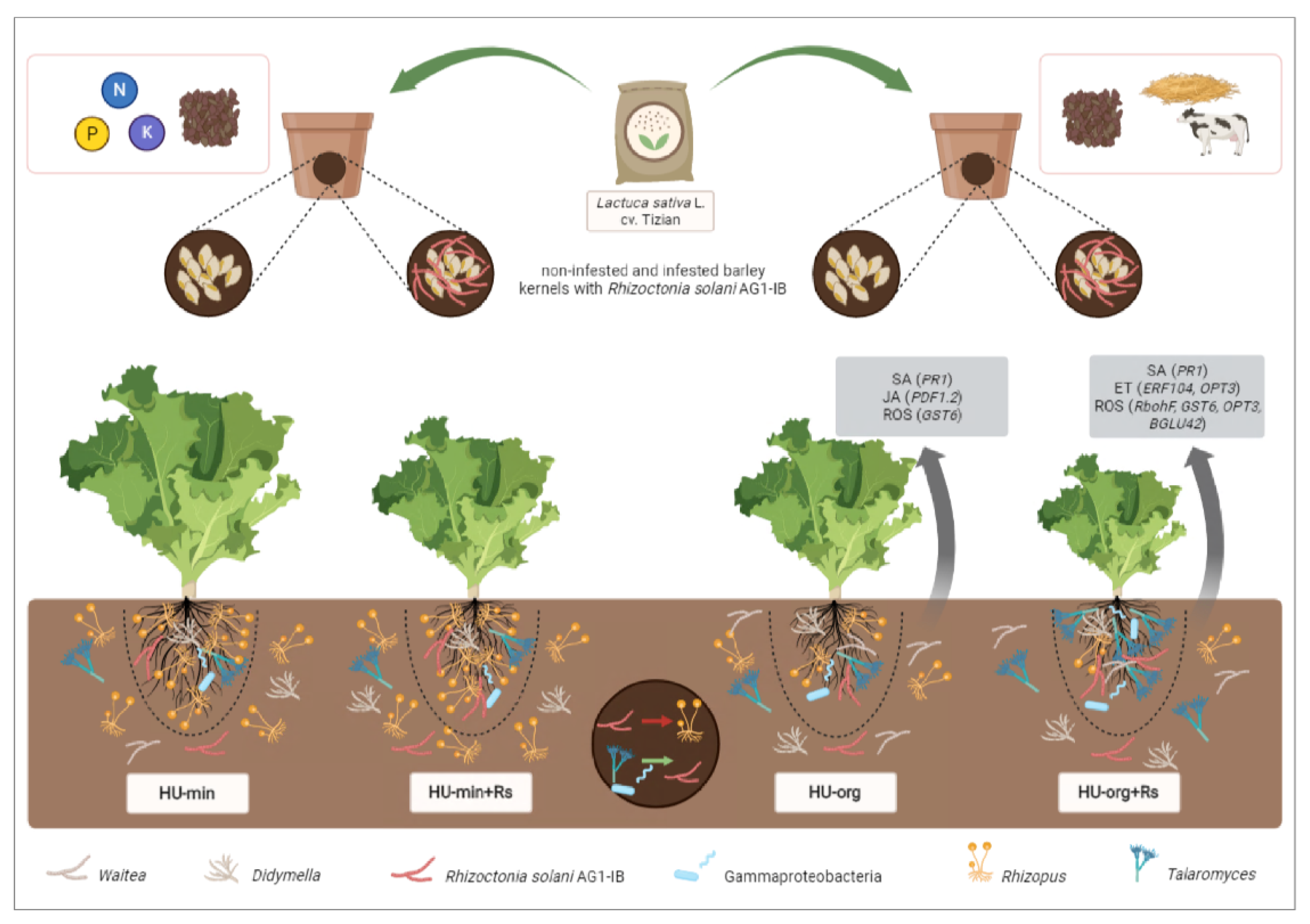 Microorganisms 10 01717 g007