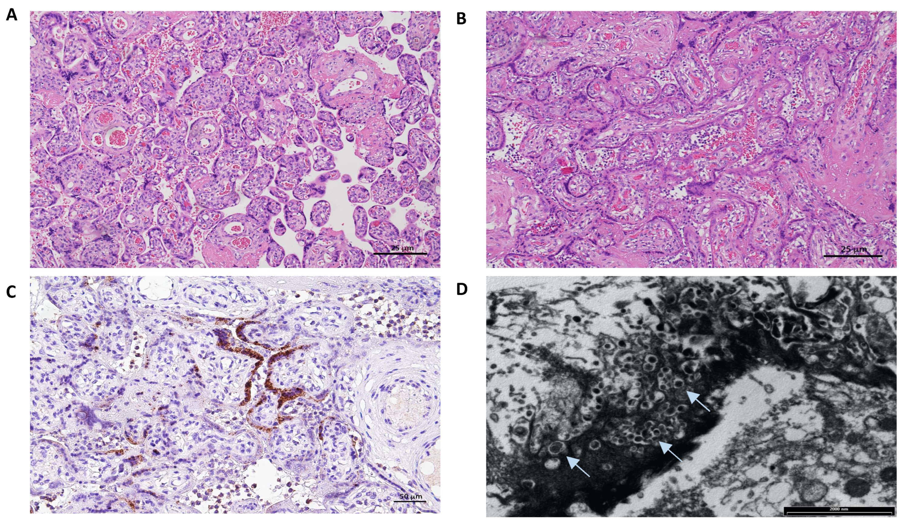 Microorganisms 10 01718 g002 550