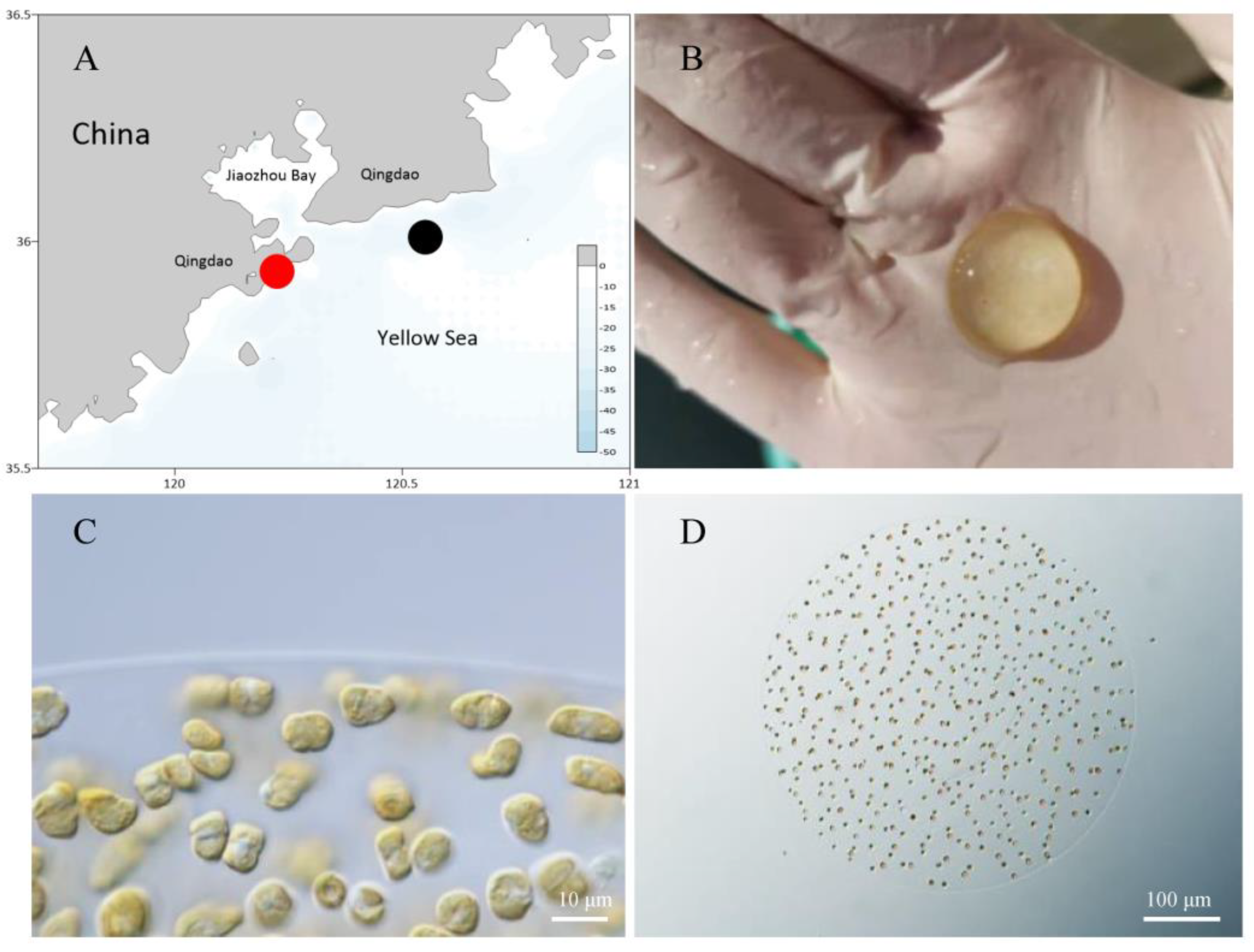 Microorganisms 10 01723 g001