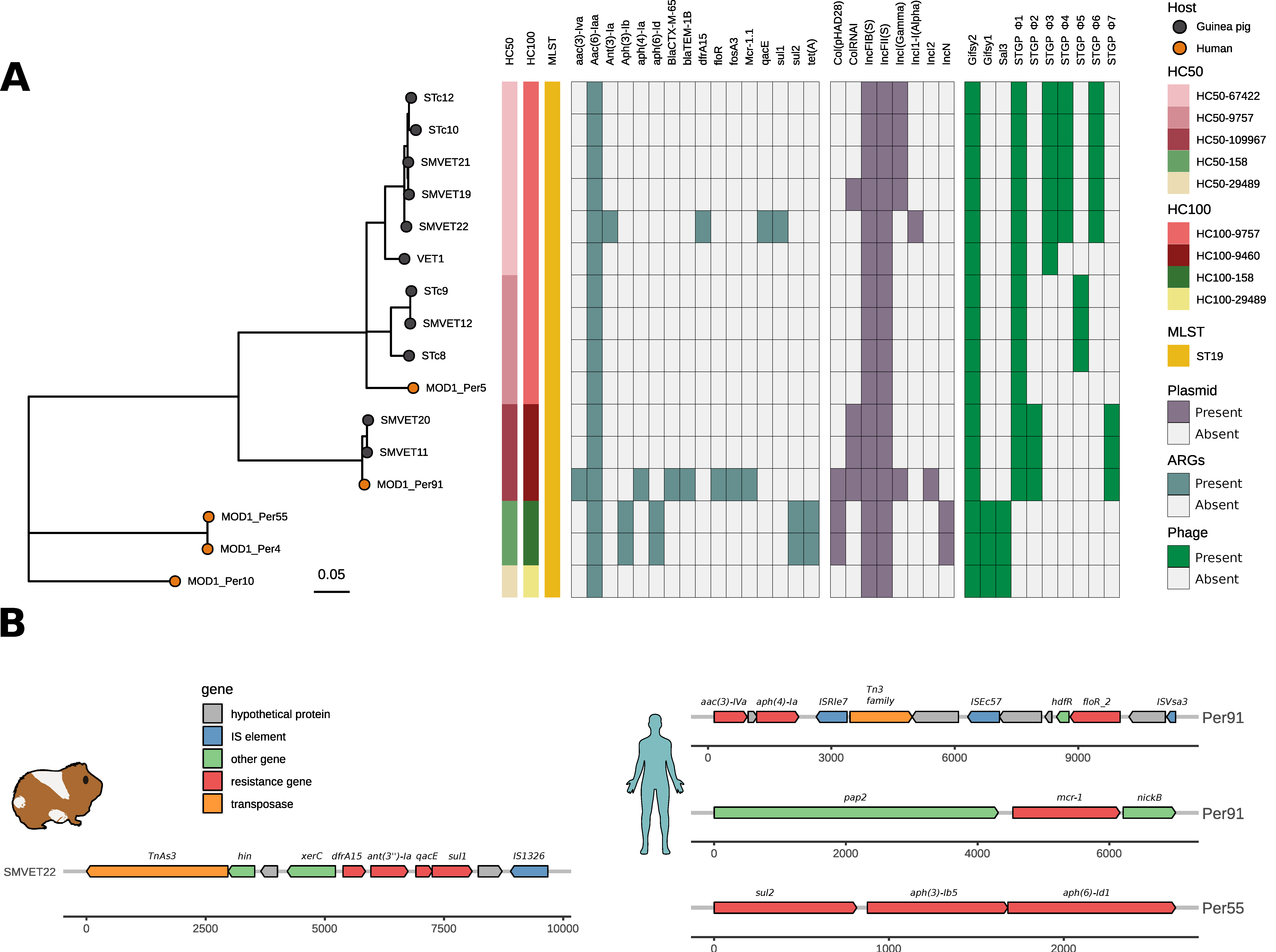 Microorganisms 10 01726 g002 Microorganisms 10 01726 g002