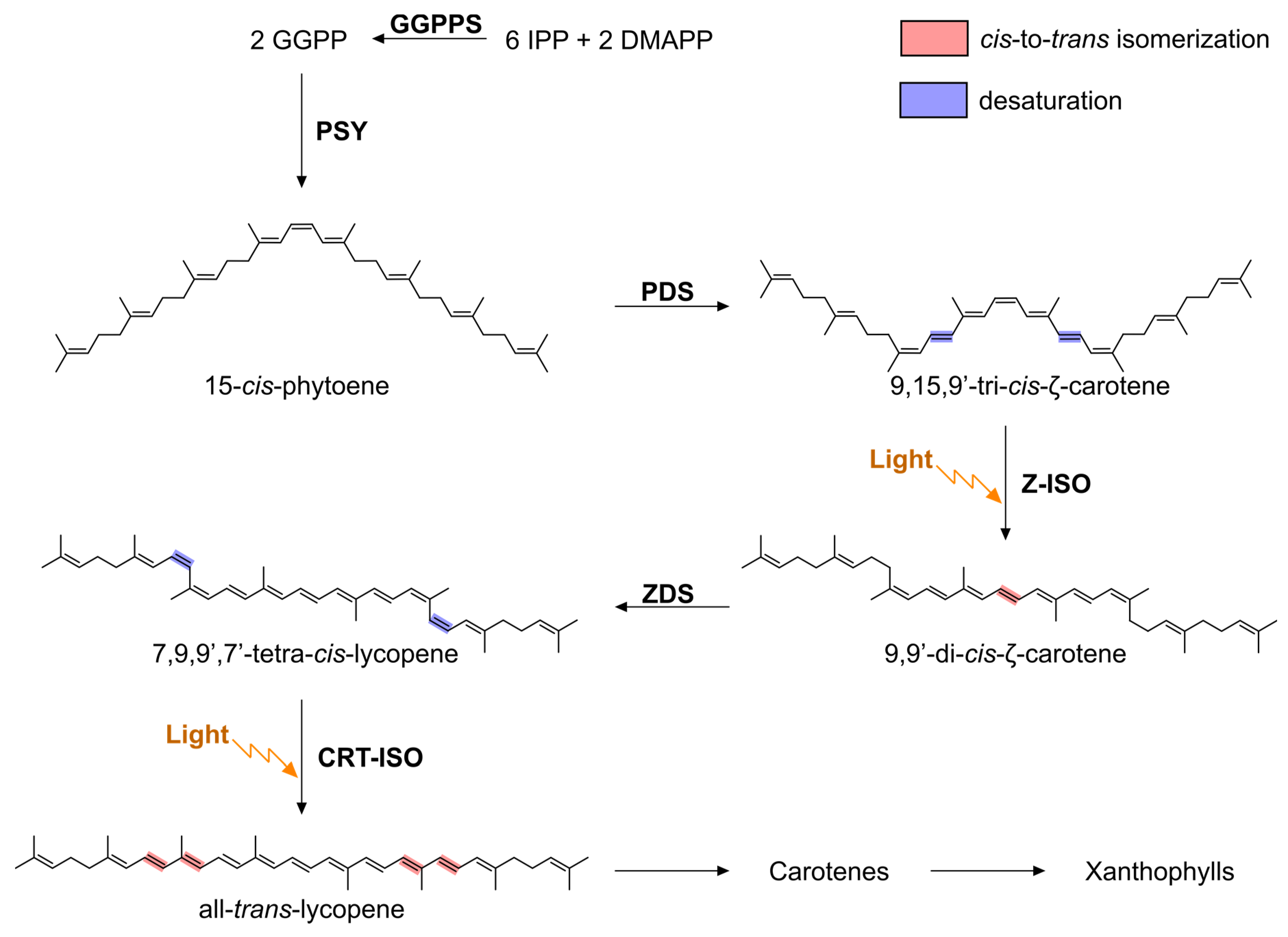Microorganisms 10 01730 g001