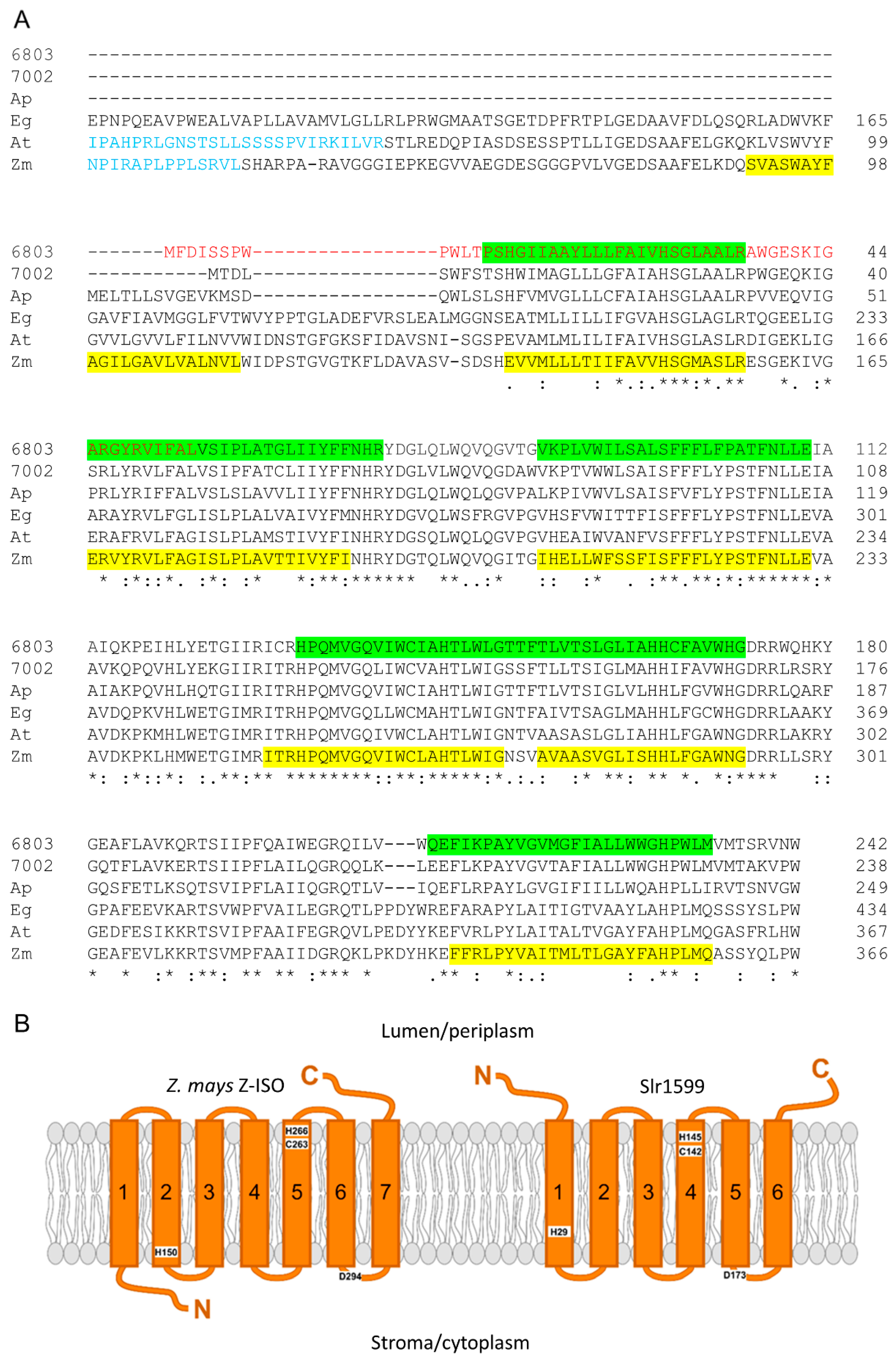 Microorganisms 10 01730 g002