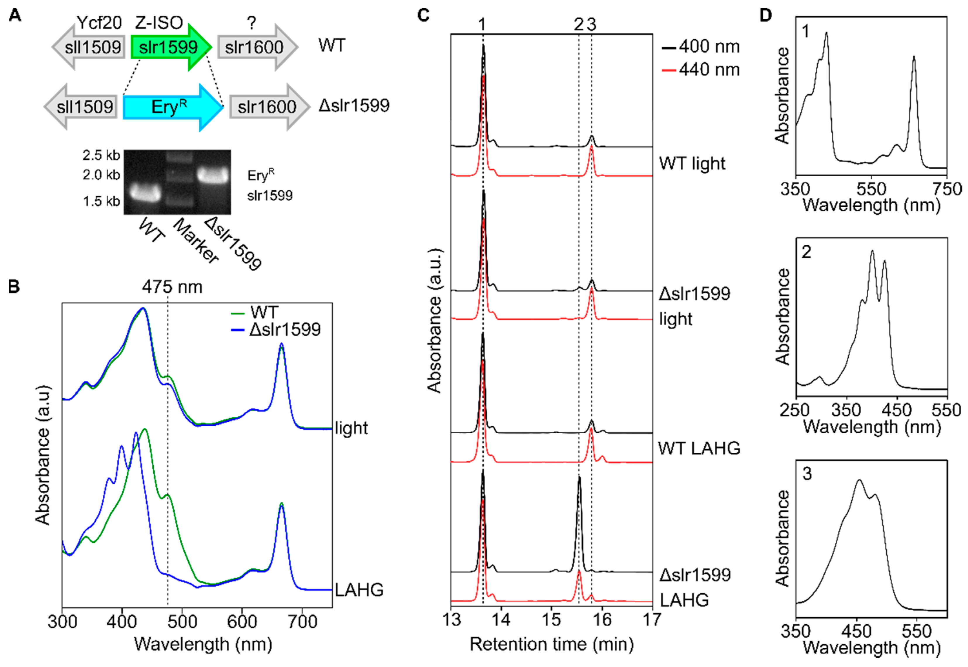 Microorganisms 10 01730 g004