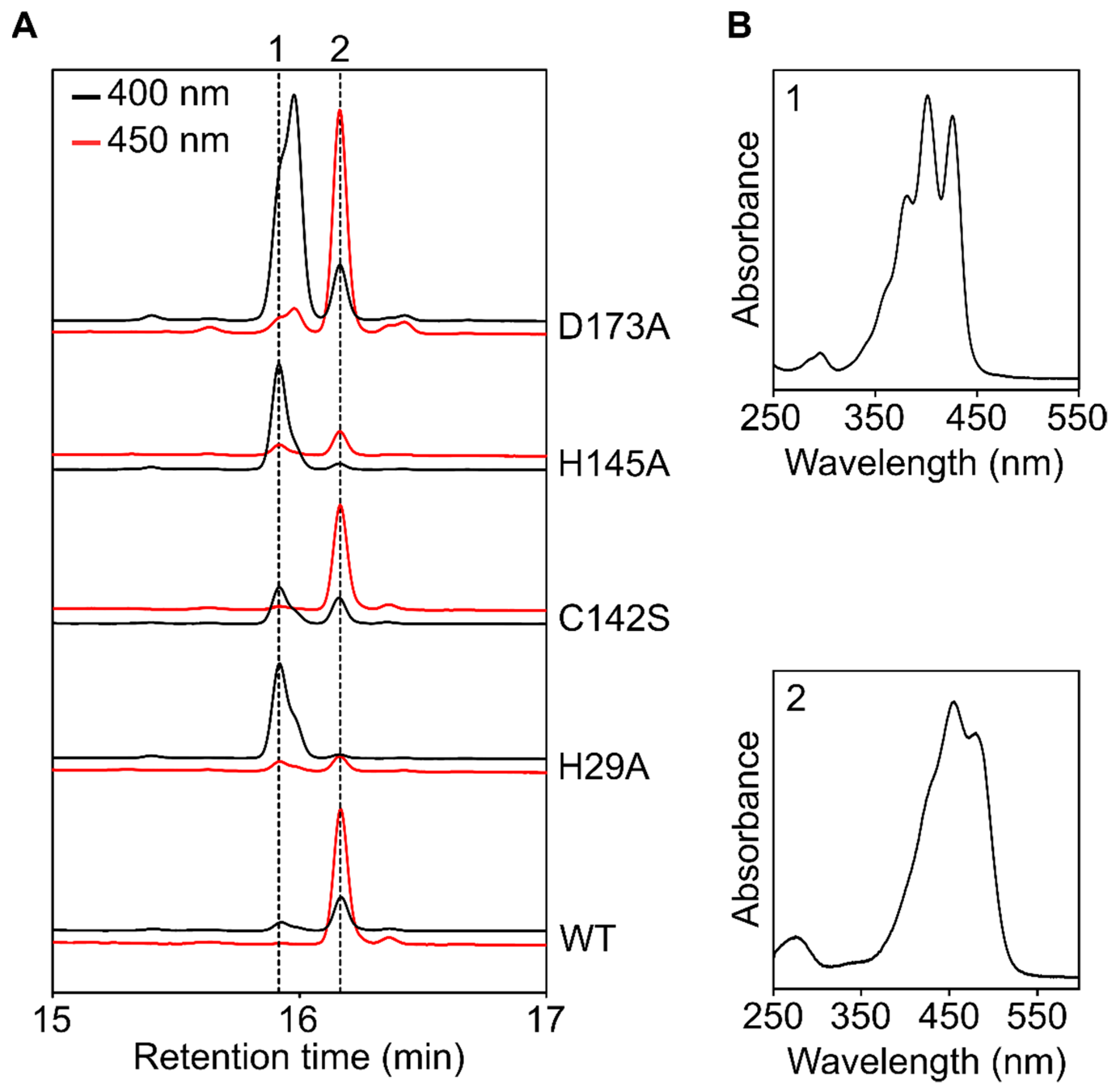 Microorganisms 10 01730 g005