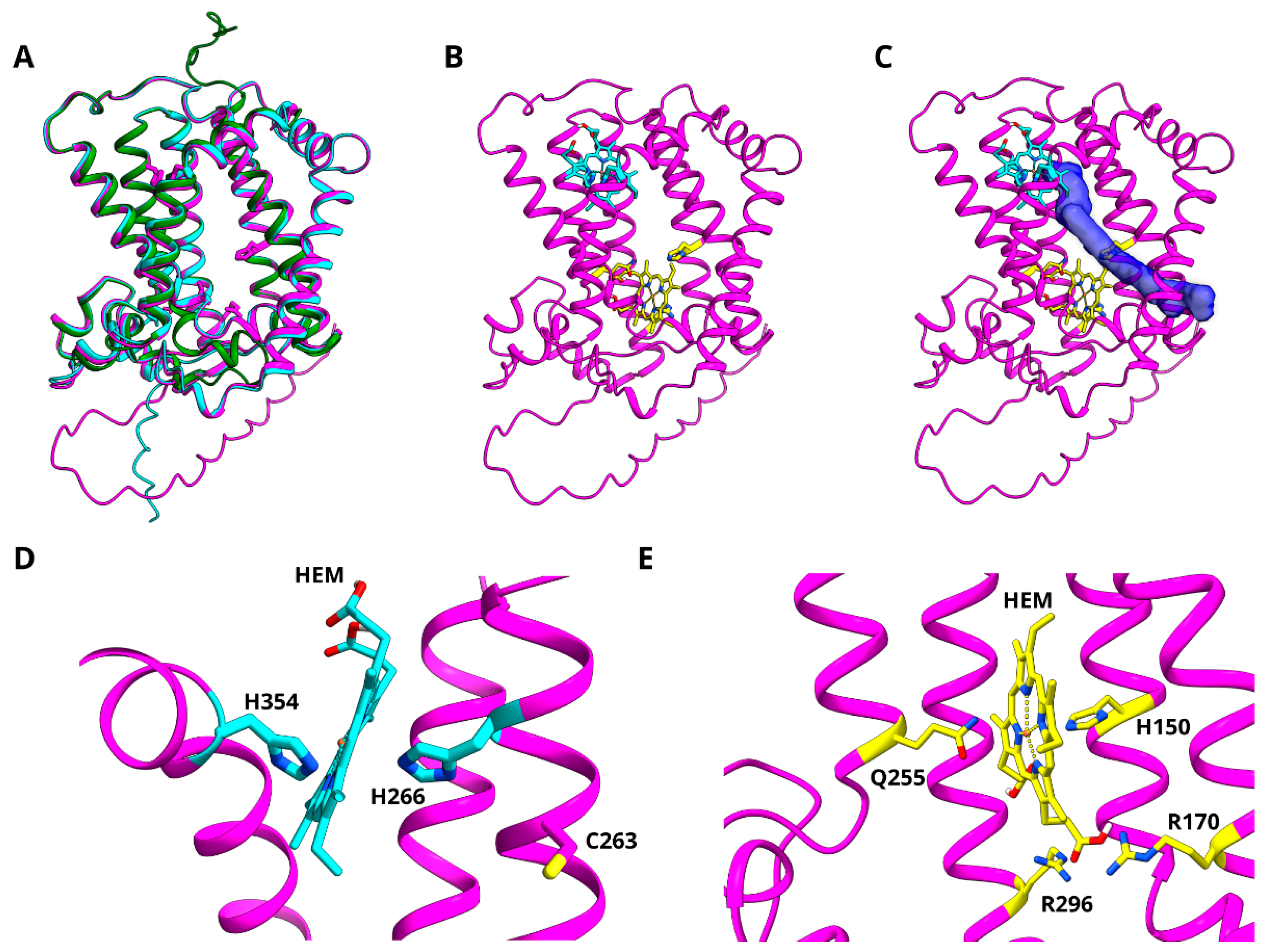 Microorganisms 10 01730 g006