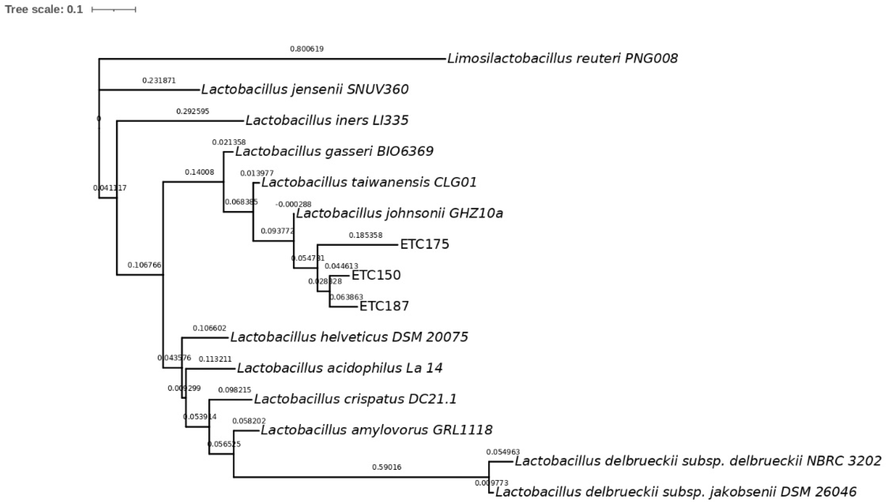 Microorganisms 10 01732 g001