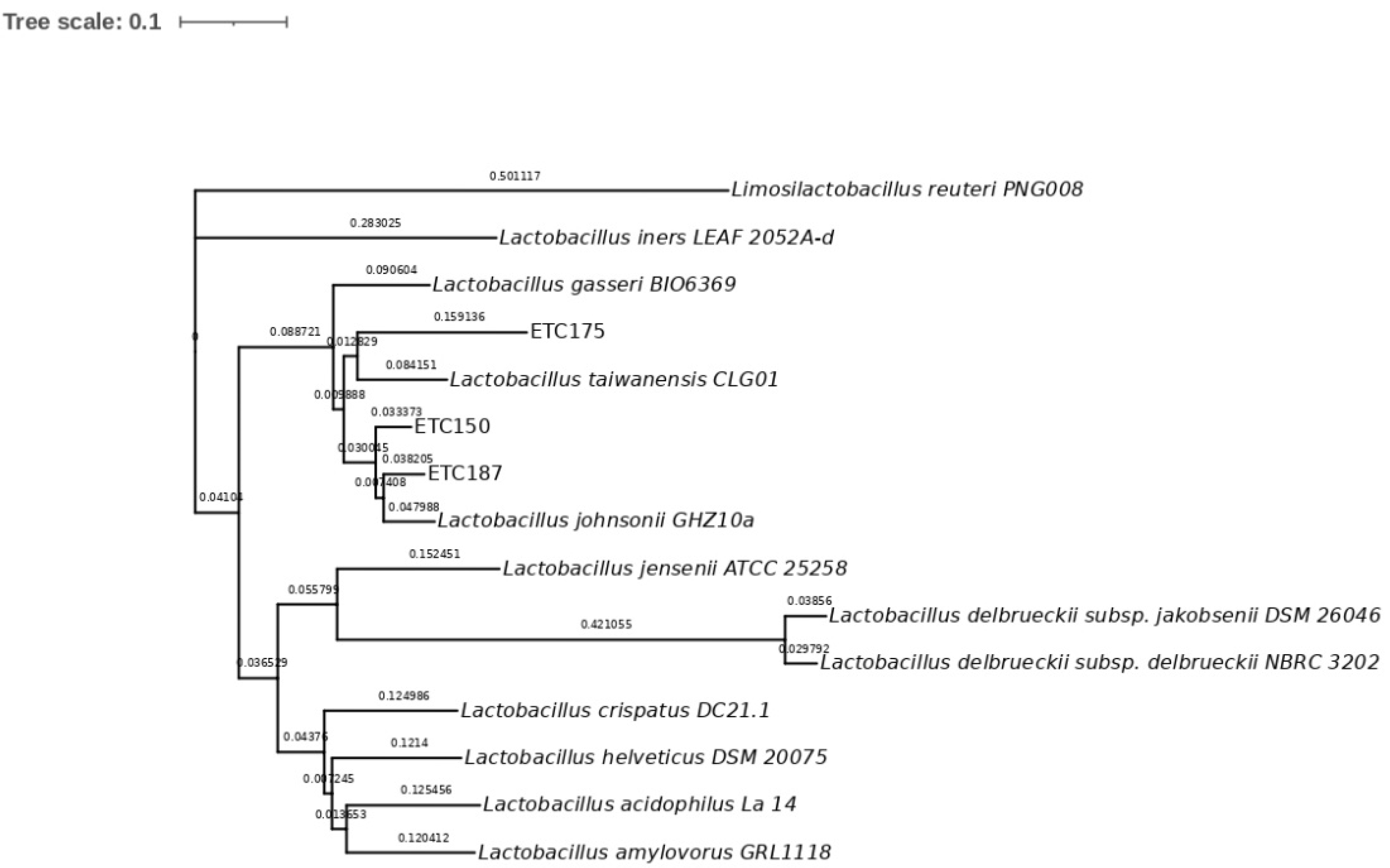 Microorganisms 10 01732 g002