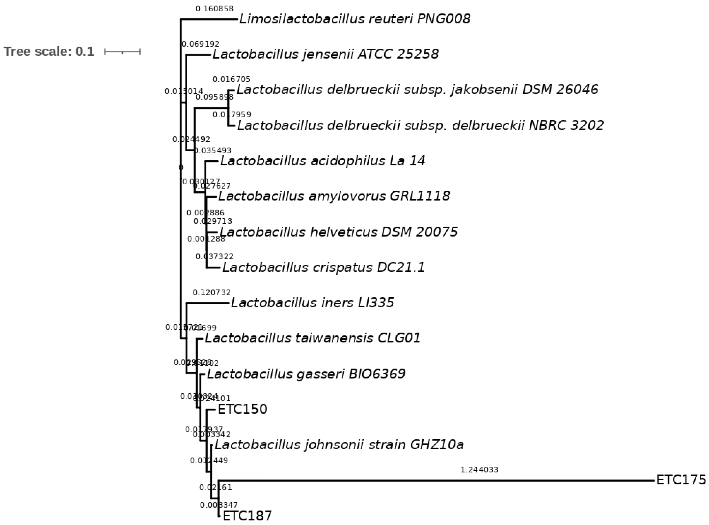 Microorganisms 10 01732 g003