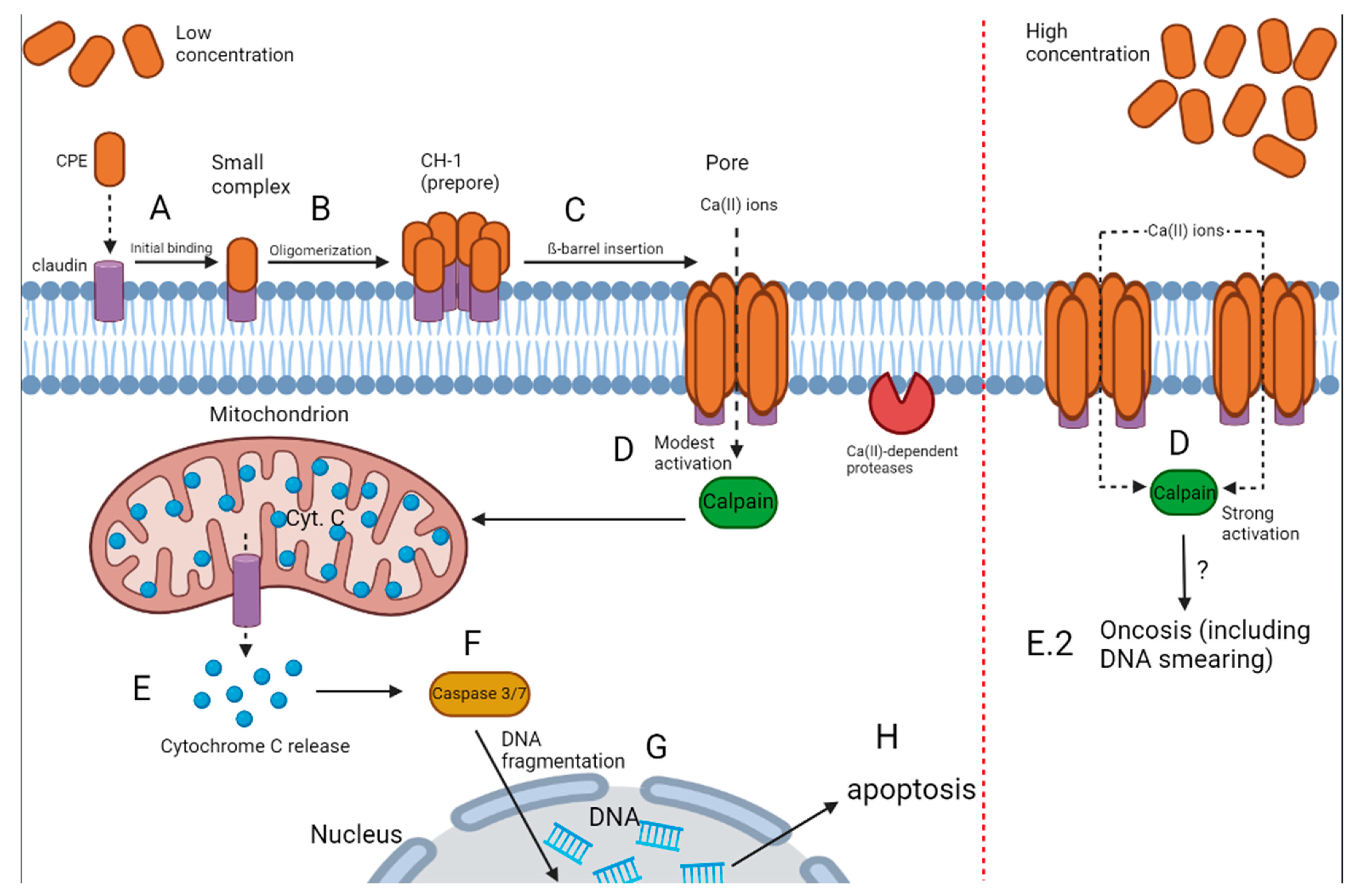 Microorganisms 10 01733 g002 Microorganisms 10 01733 g002