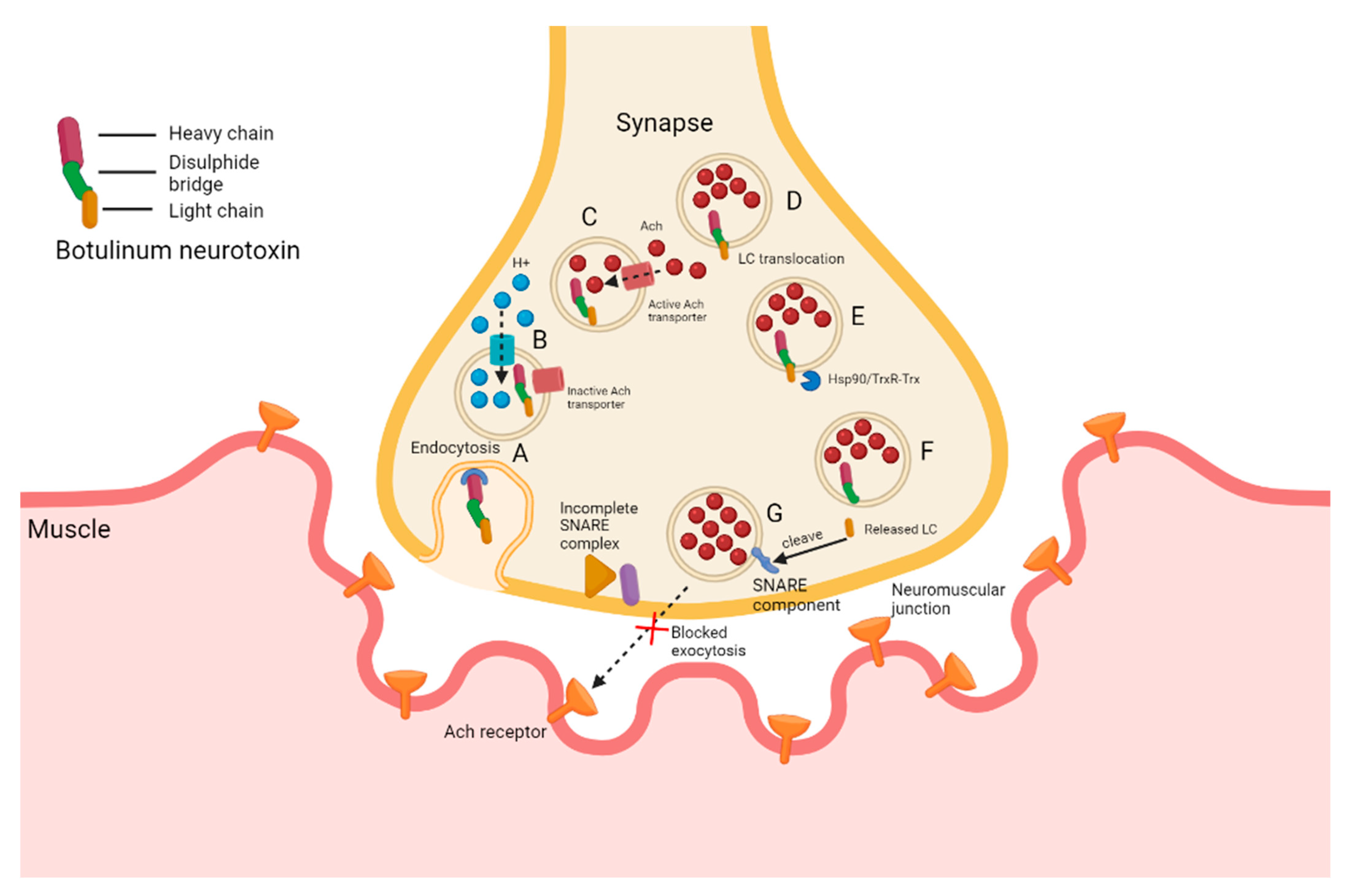 Microorganisms 10 01733 g003 Microorganisms 10 01733 g003