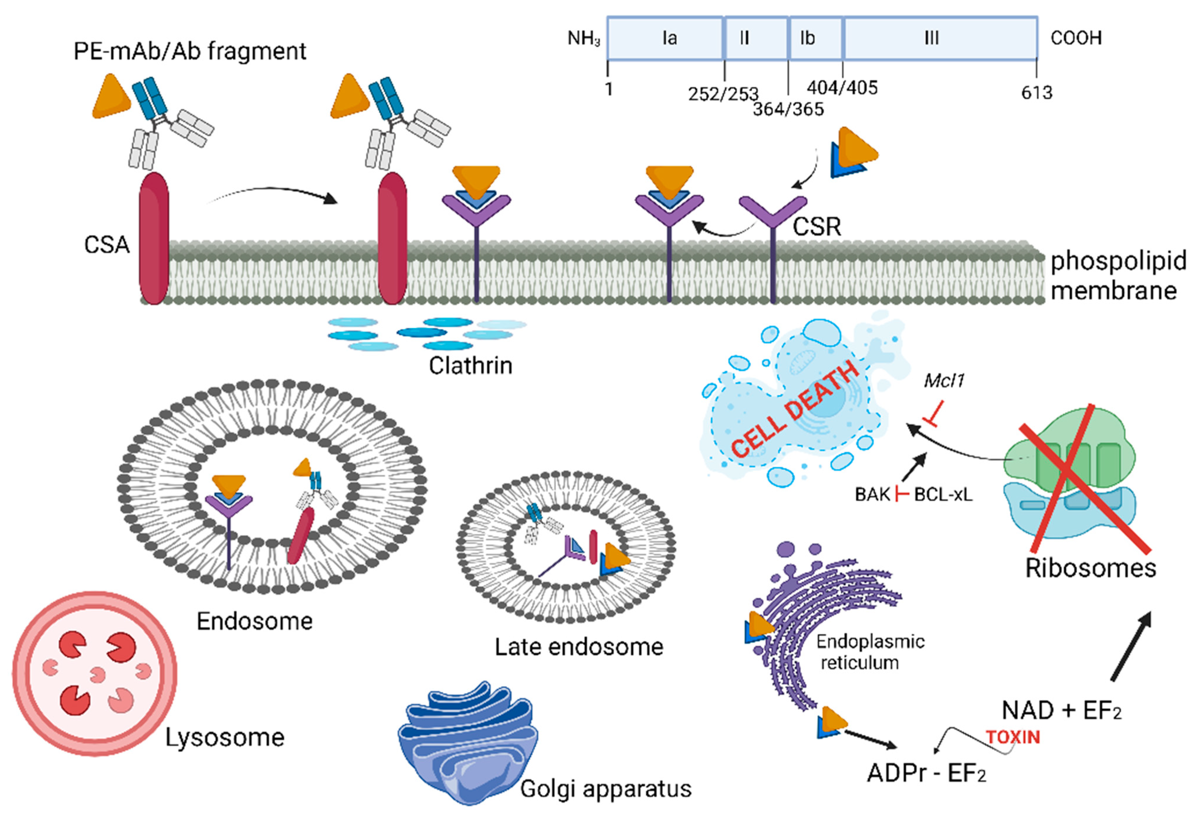 Microorganisms 10 01733 g004 Microorganisms 10 01733 g004