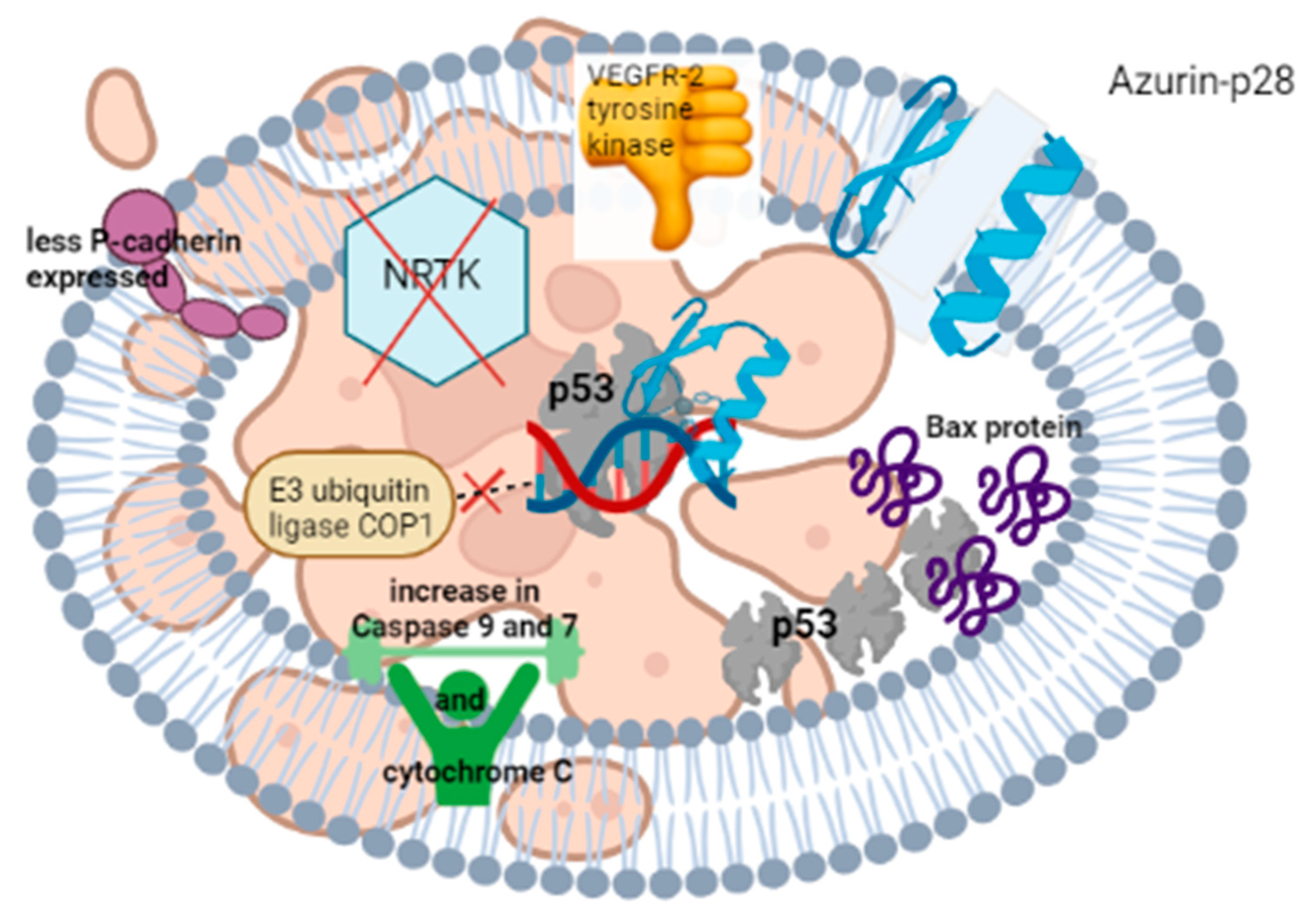 Microorganisms 10 01733 g006 Microorganisms 10 01733 g006