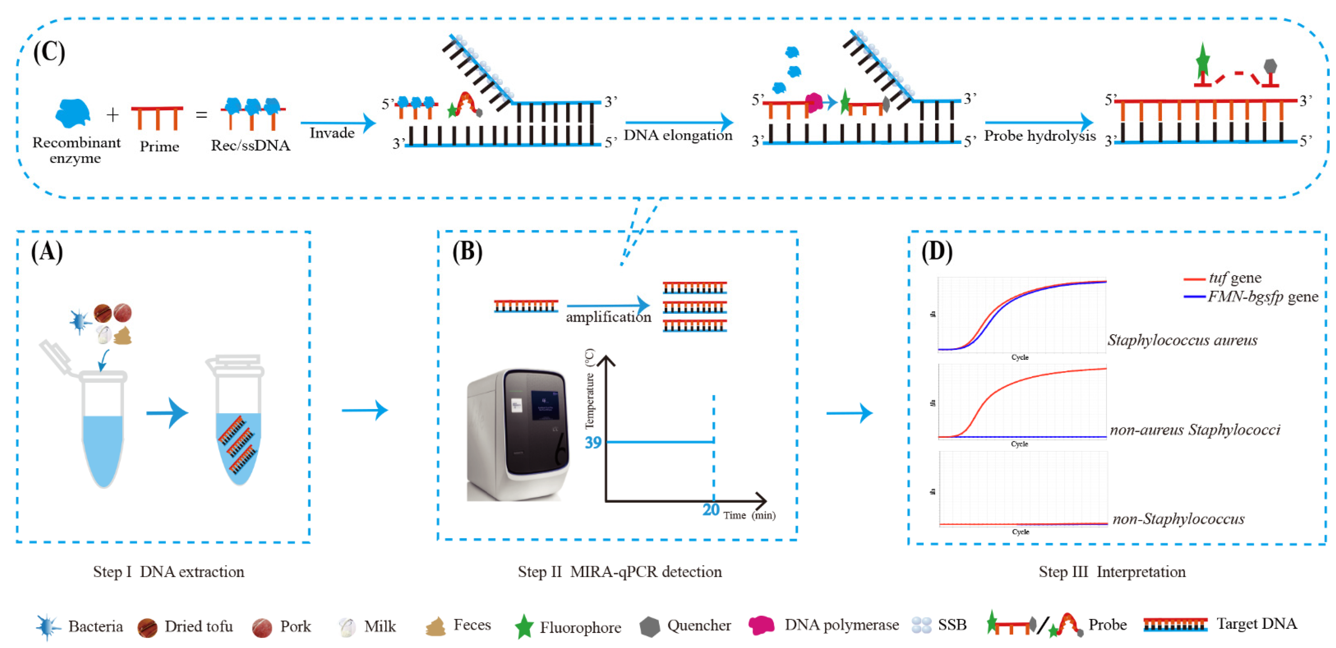 Free FullText Development and Evaluation of Duplex