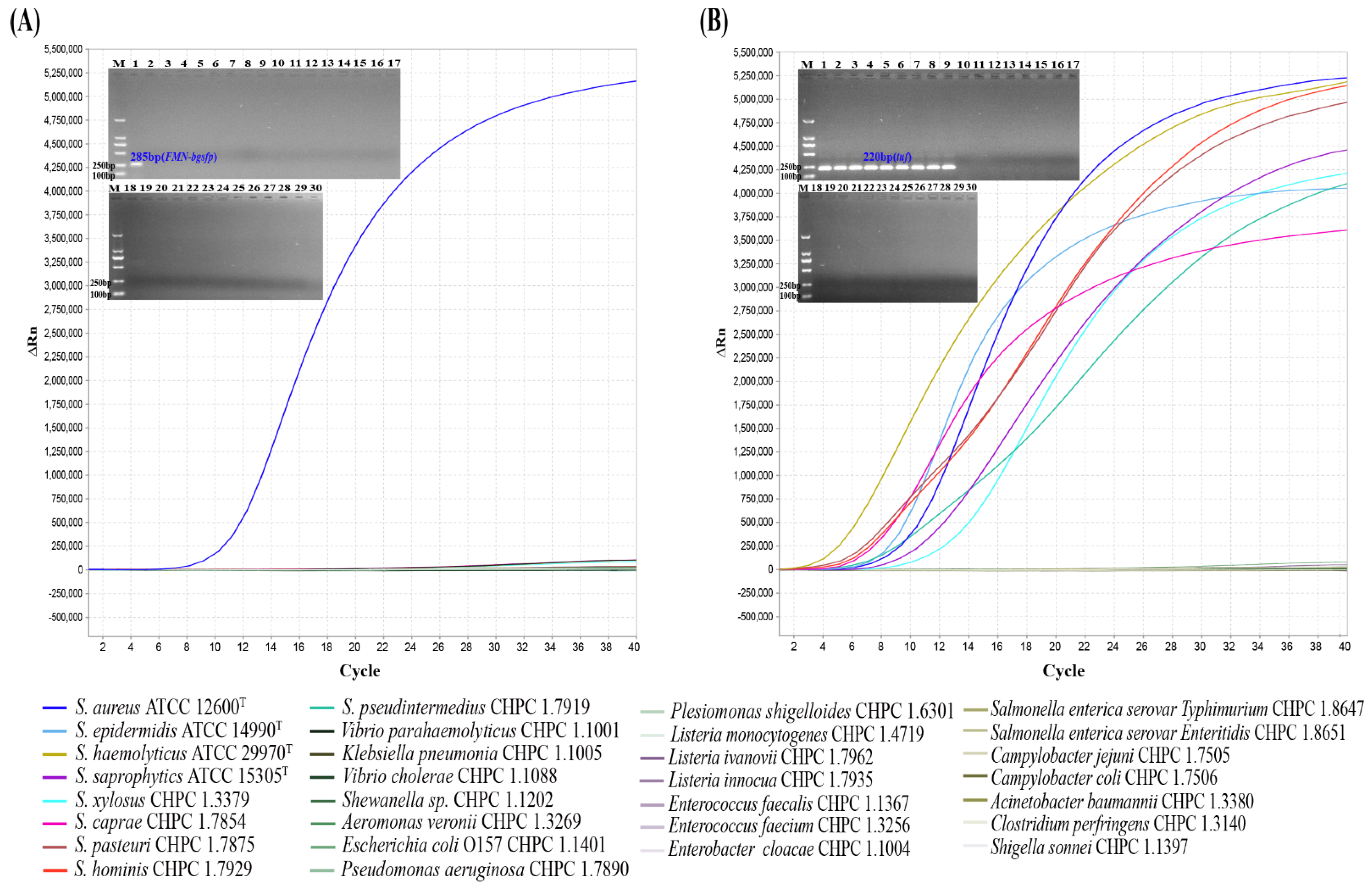 Microorganisms 10 01734 g002 Microorganisms 10 01734 g002