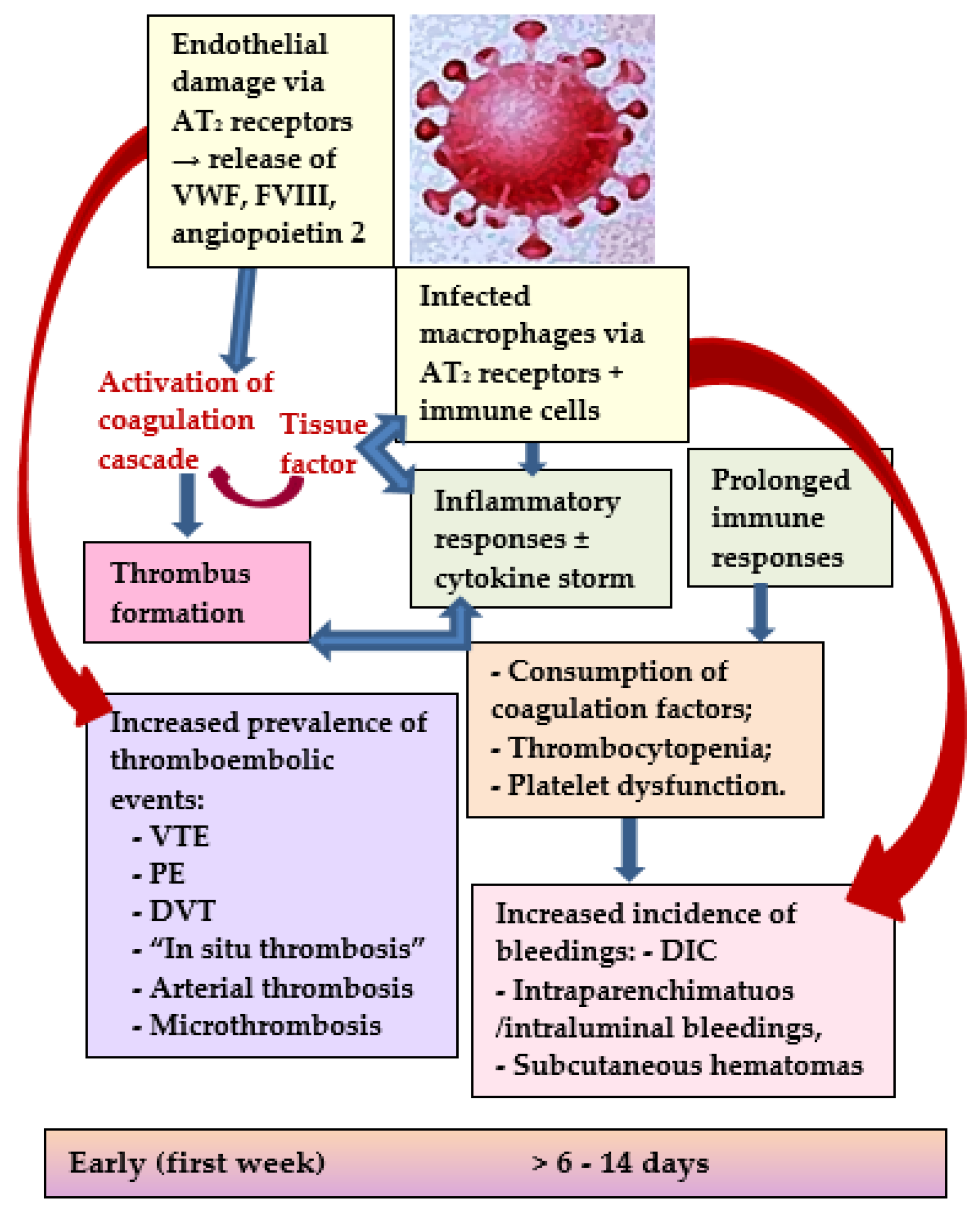 Microorganisms 10 01738 g001 550