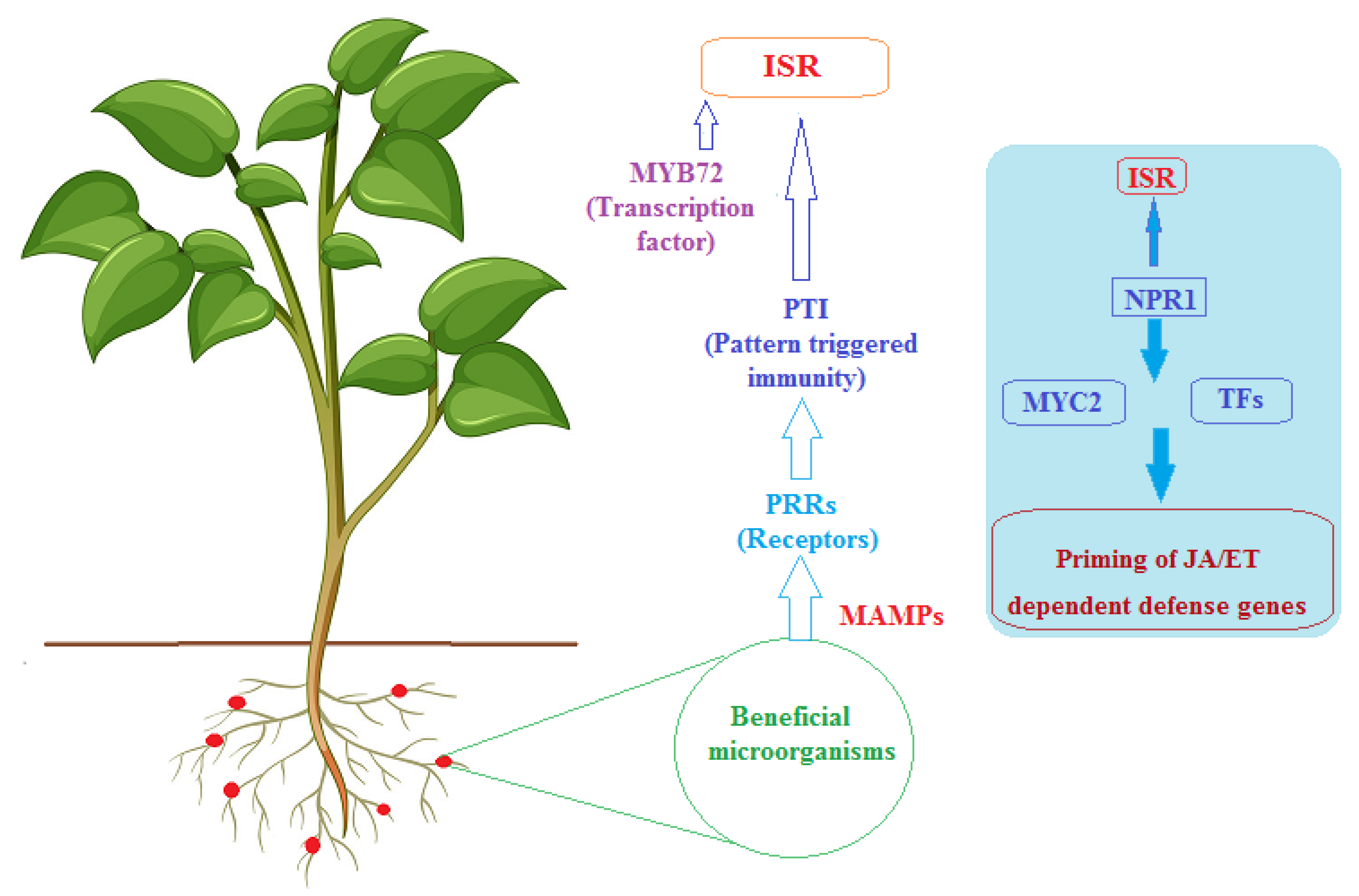 Microorganisms 10 01739 g002 Microorganisms 10 01739 g002
