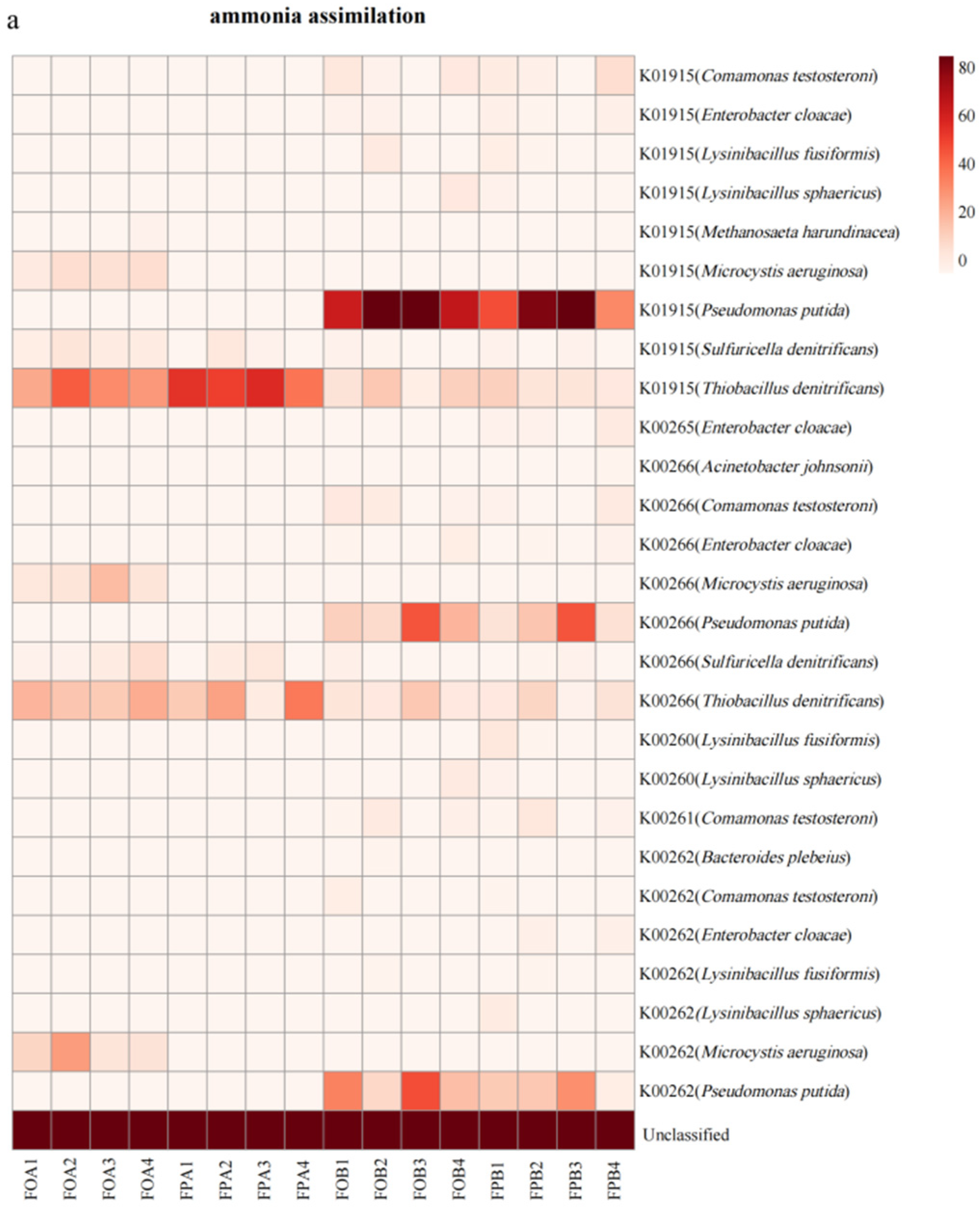 Microorganisms 10 01740 g006a