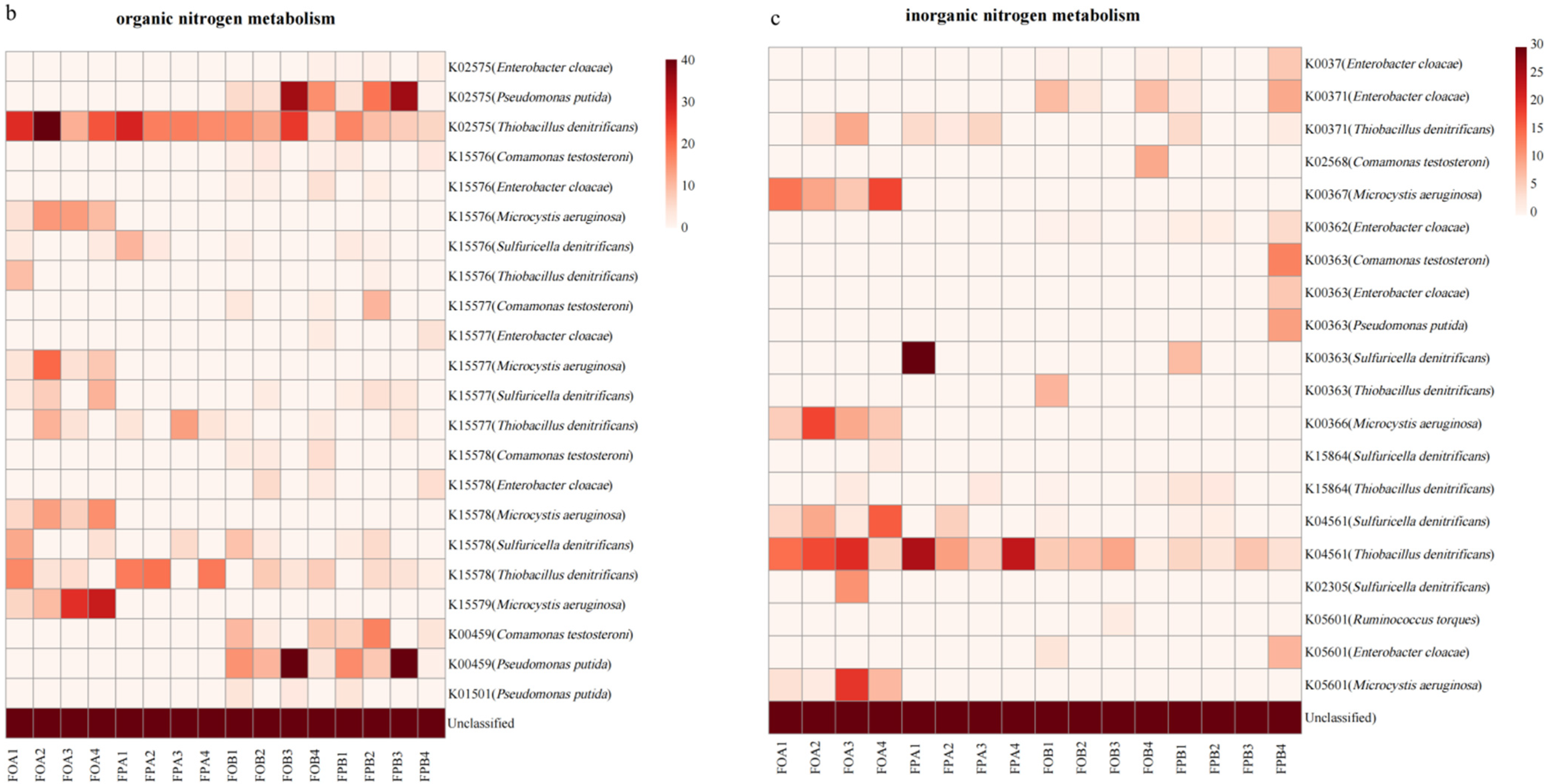 Microorganisms 10 01740 g006b