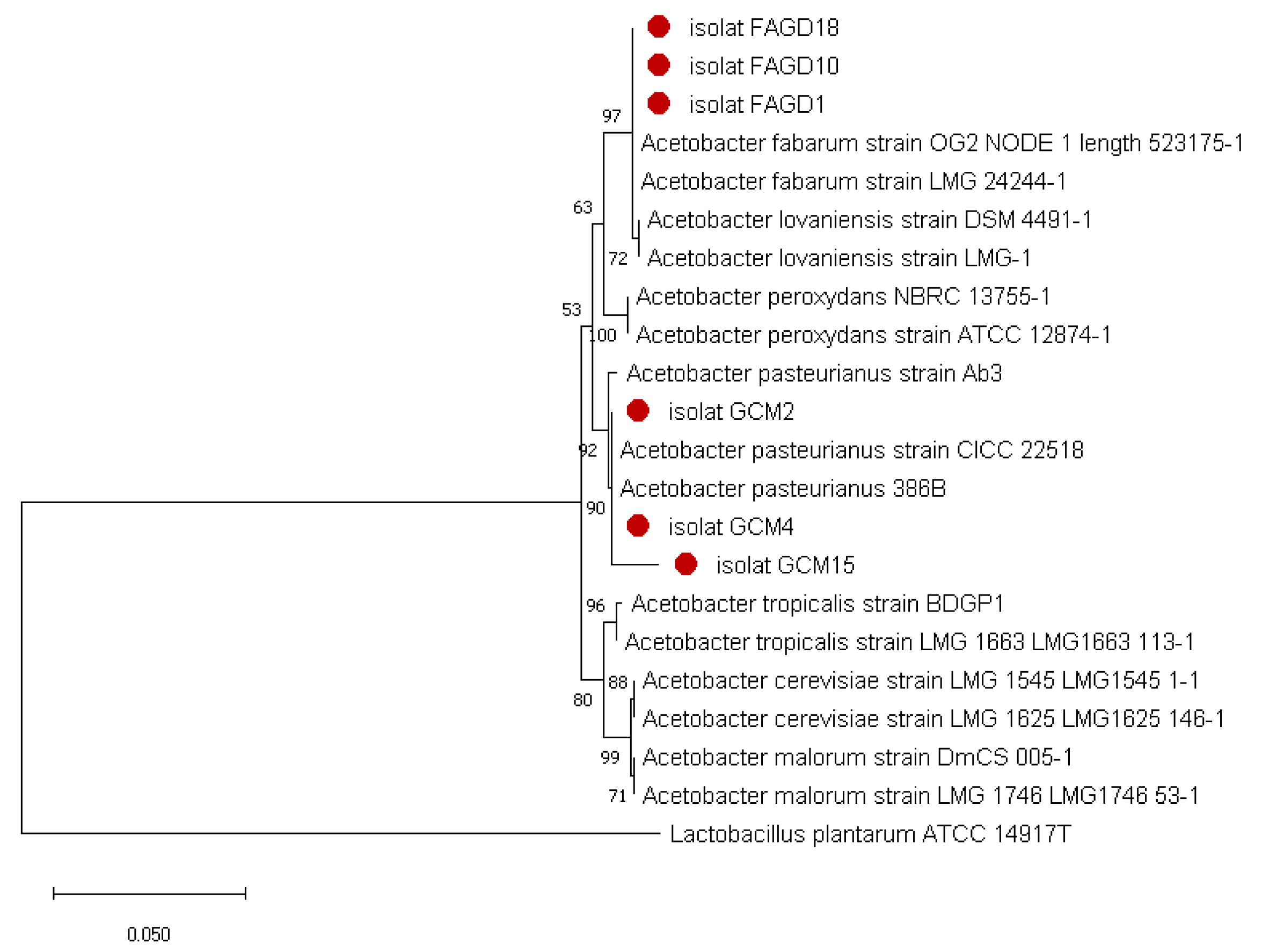 Microorganisms 10 01741 g002 Microorganisms 10 01741 g002