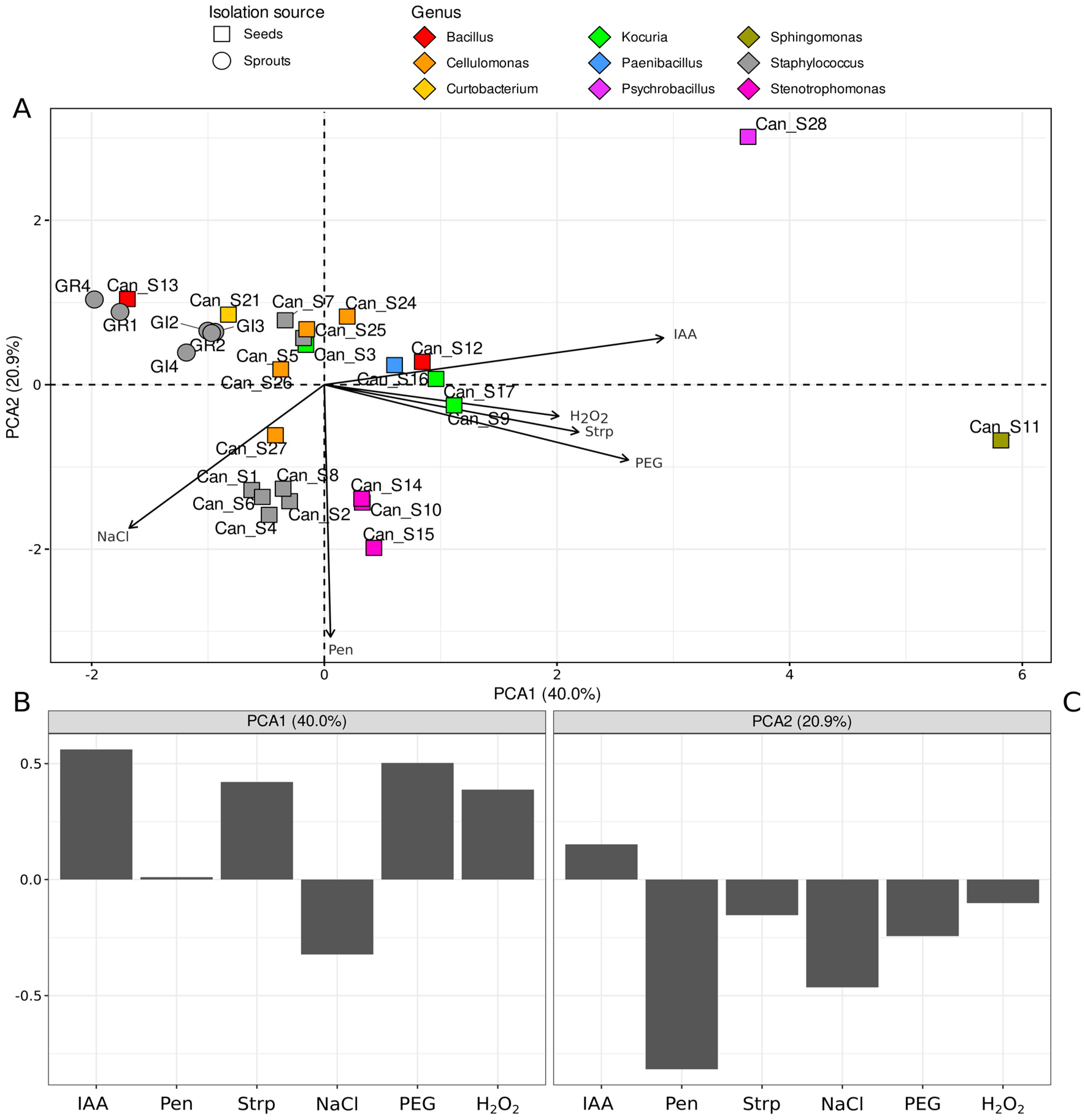Microorganisms 10 01742 g004