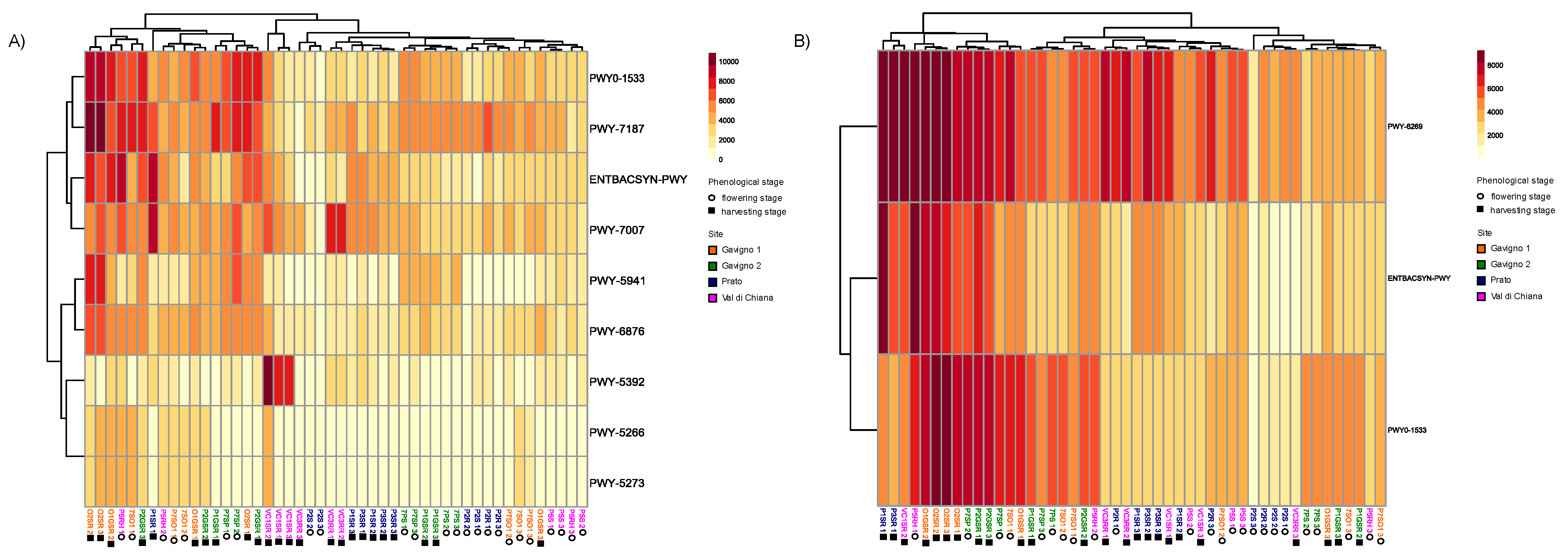 Microorganisms 10 01743 g005 550
