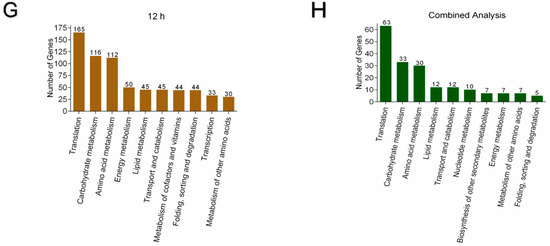 Effect of Water Activity on Conidia Germination in