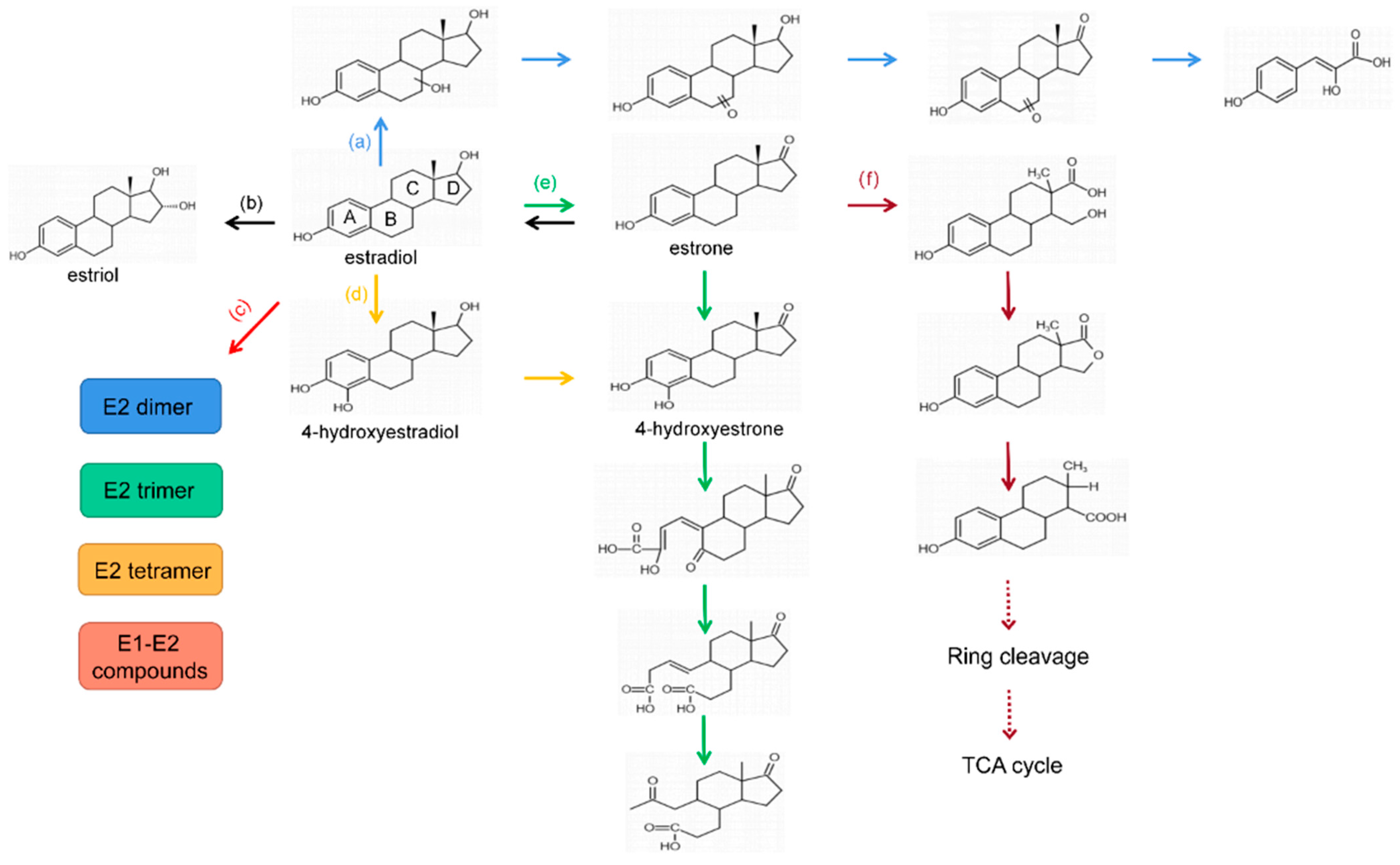 Microorganisms 10 01745 g001
