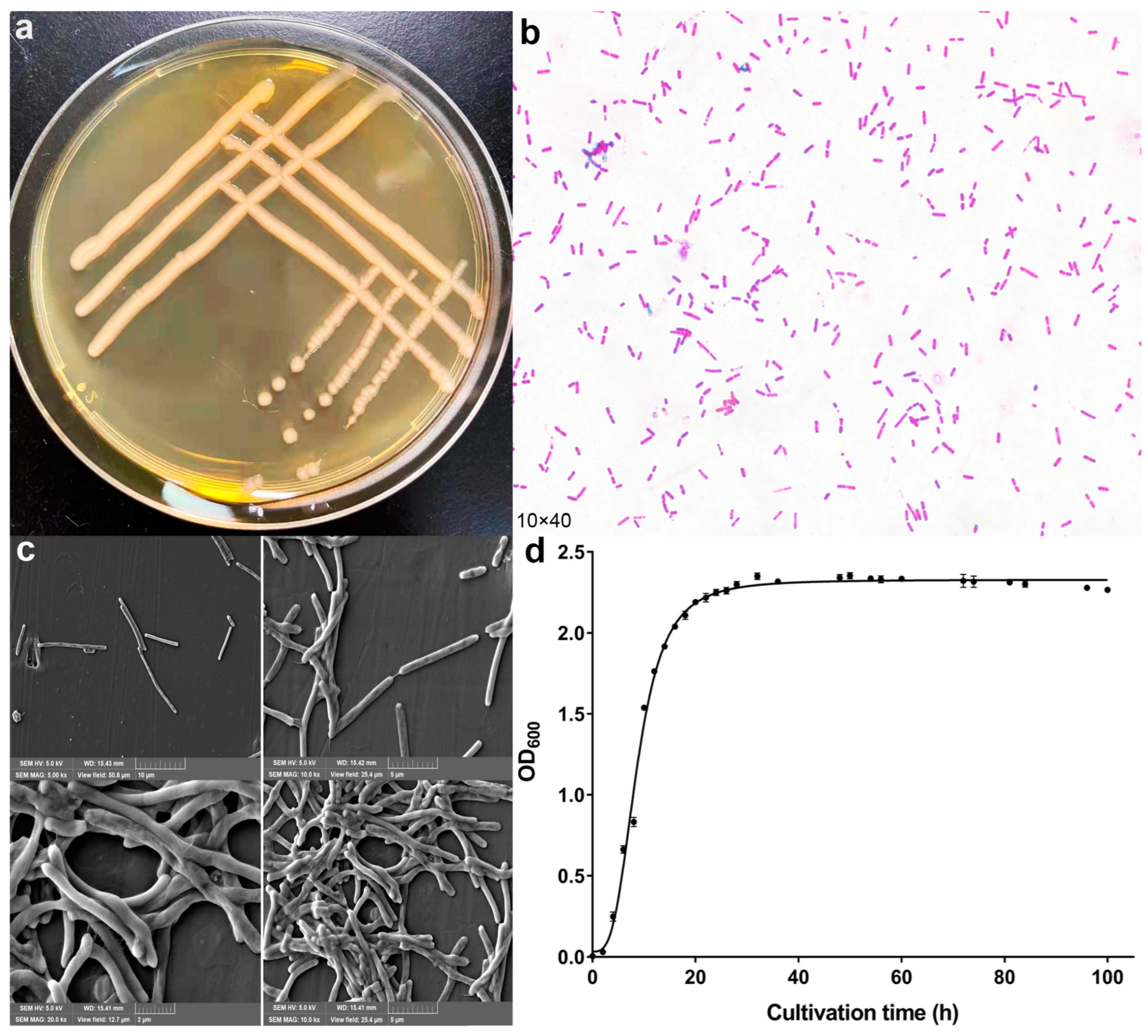 Microorganisms 10 01745 g002