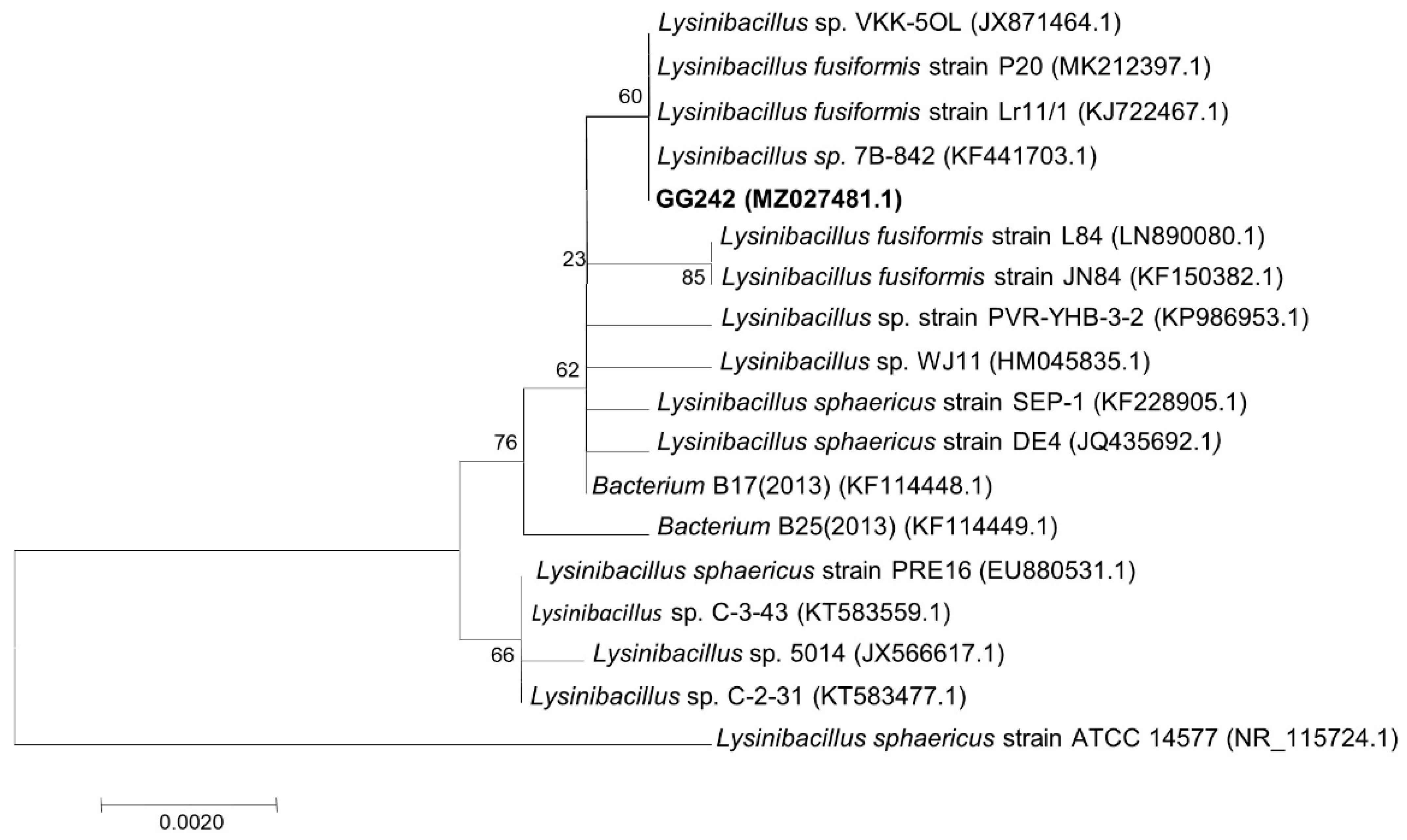 Microorganisms 10 01745 g003