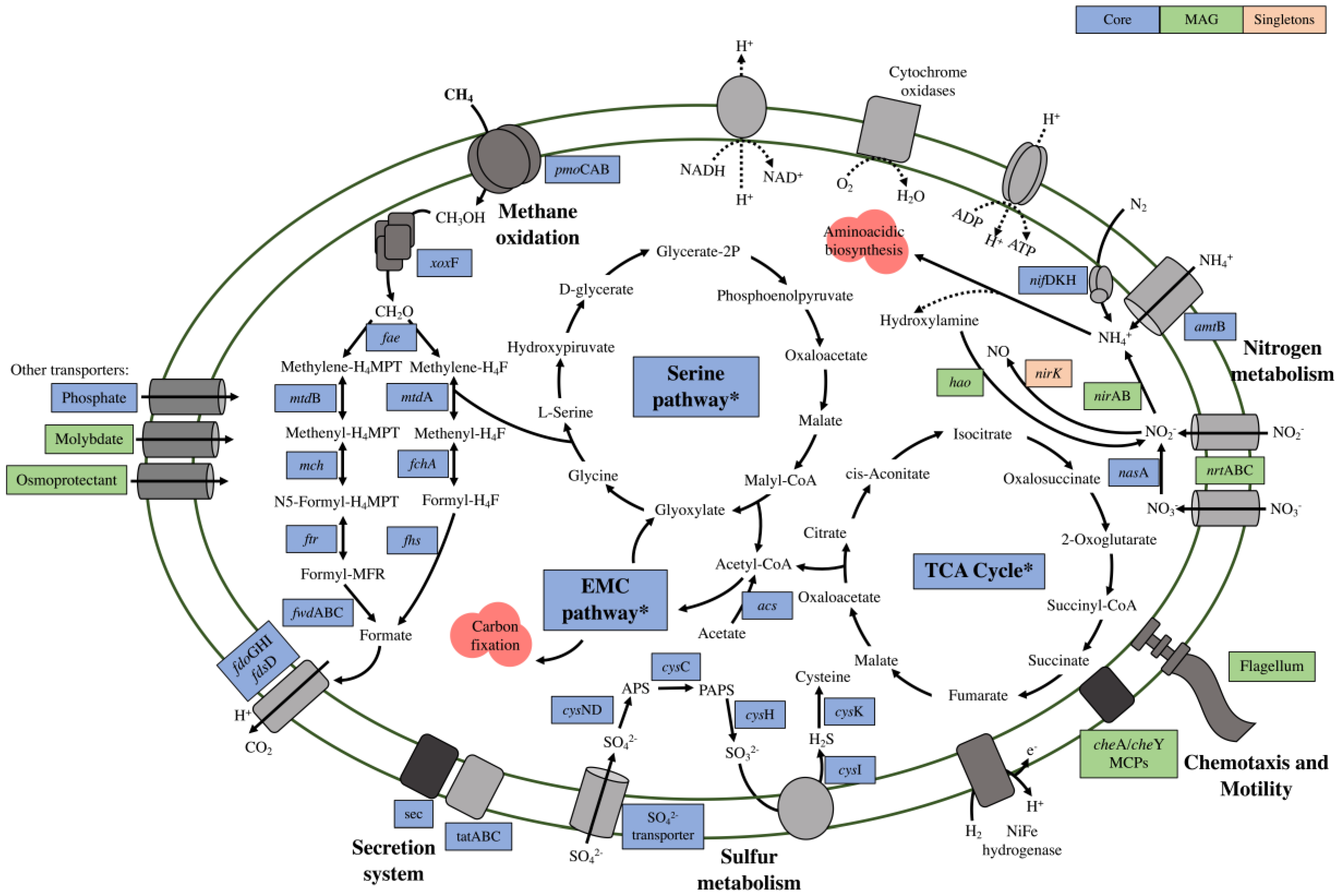 Microorganisms 10 01747 g003