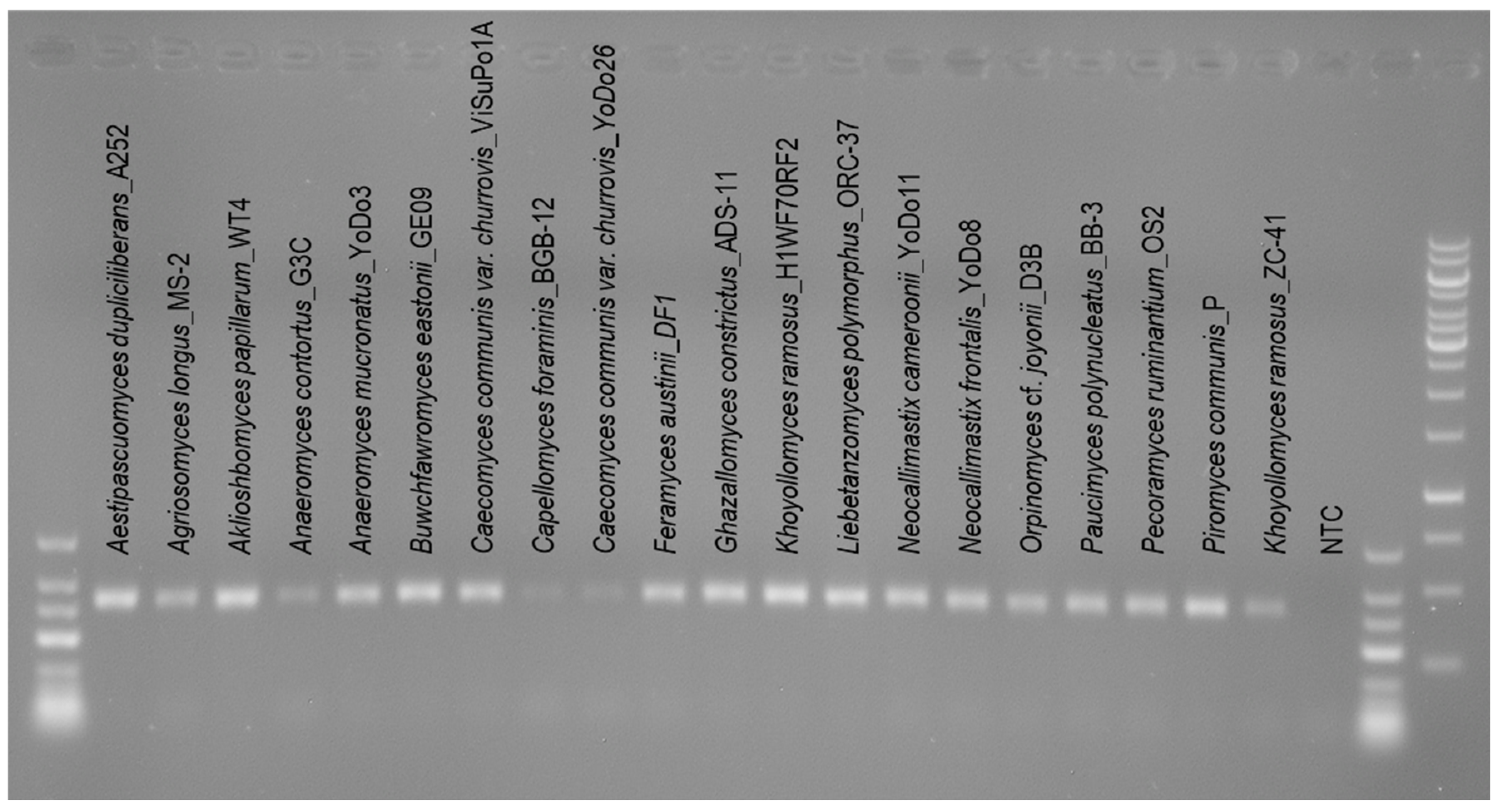 Microorganisms 10 01749 g001 Microorganisms 10 01749 g001