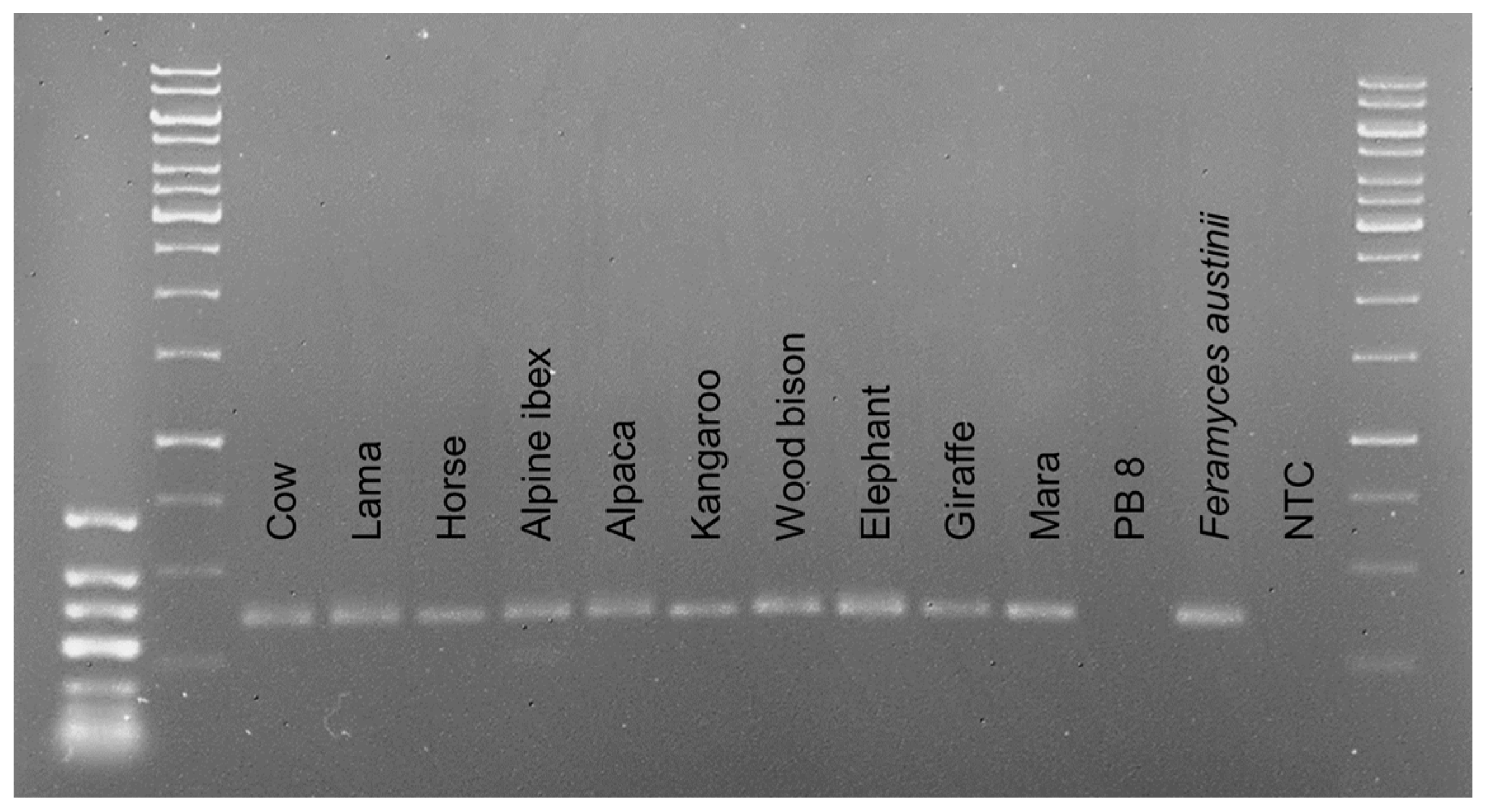 Microorganisms 10 01749 g002 Microorganisms 10 01749 g002