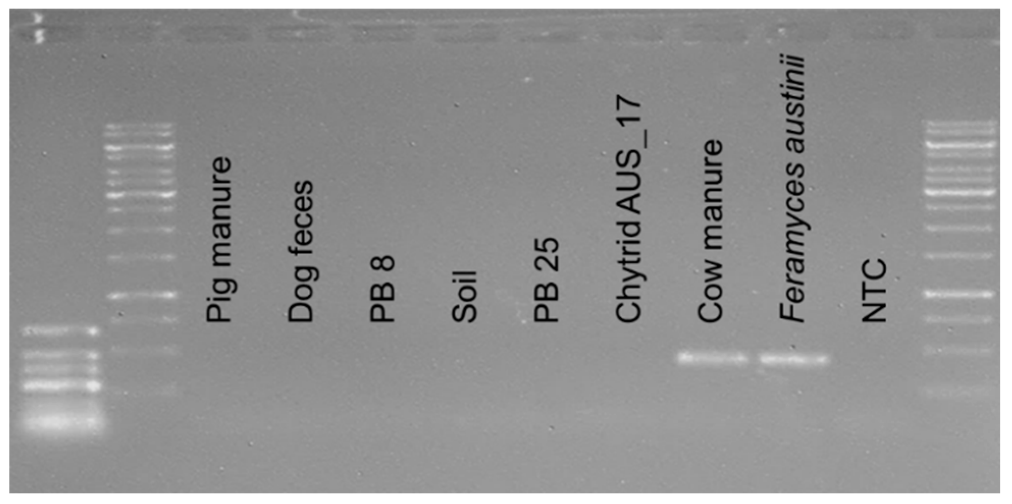Microorganisms 10 01749 g003 Microorganisms 10 01749 g003