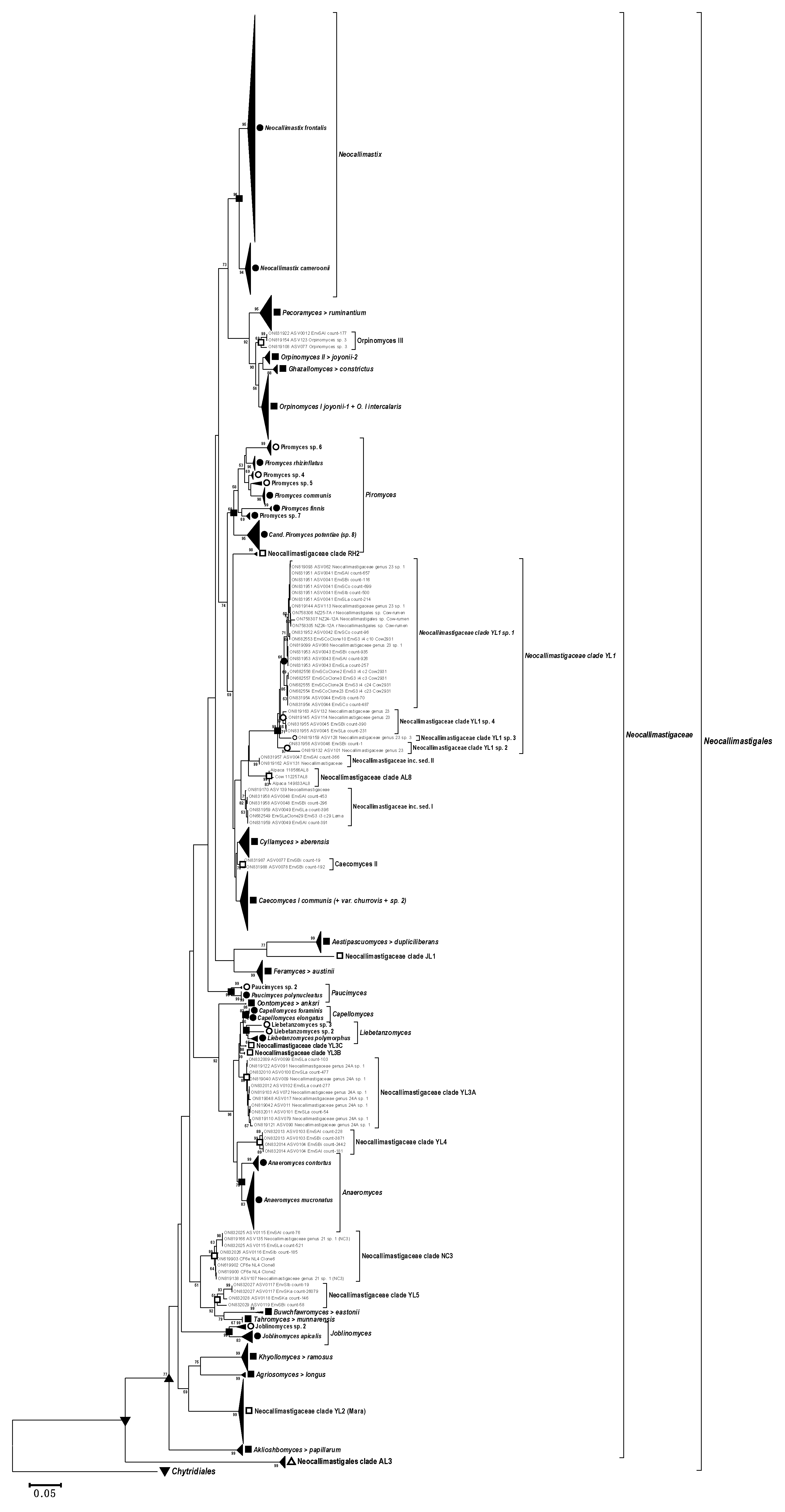 Microorganisms 10 01749 g007 Microorganisms 10 01749 g007