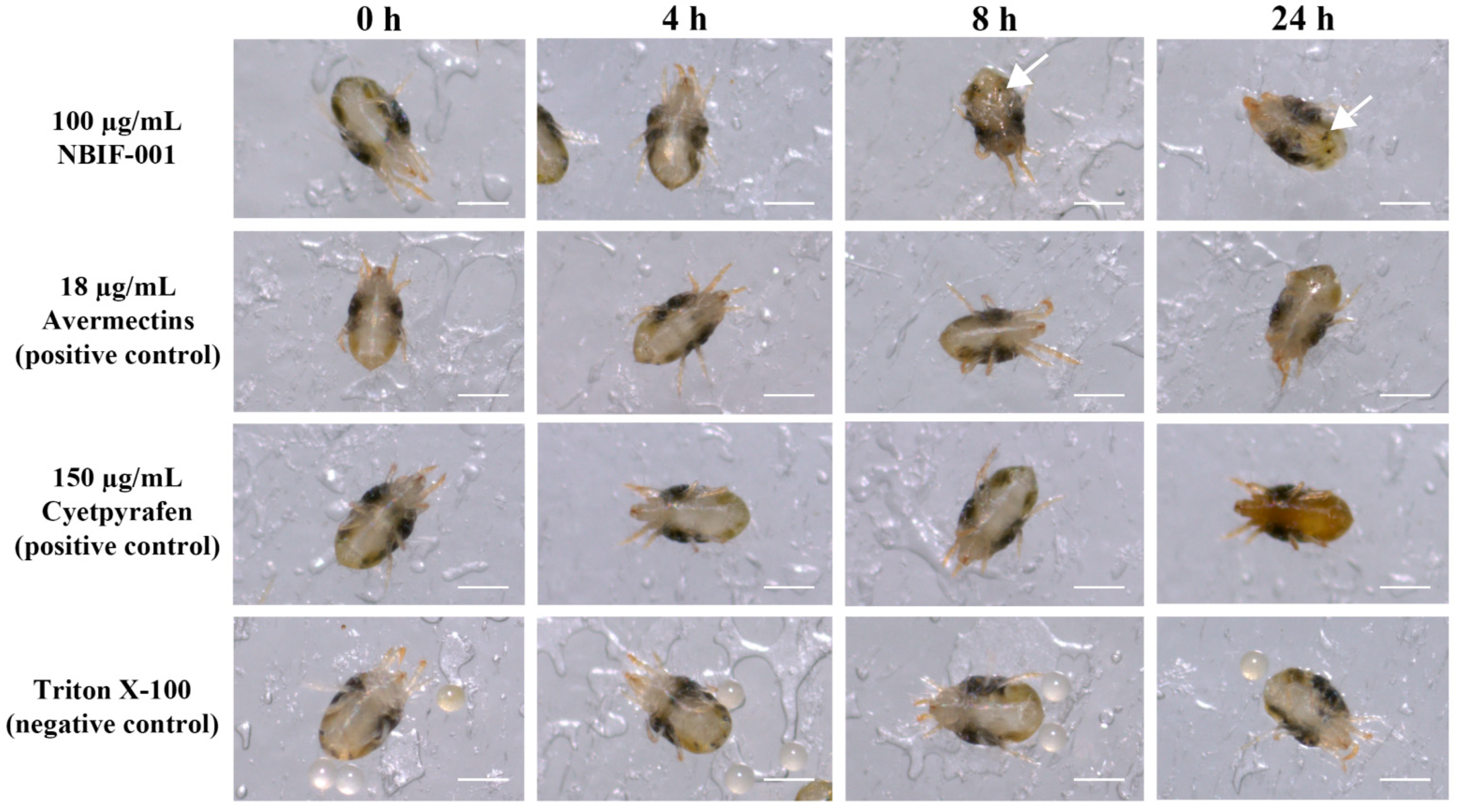 Microorganisms 10 01750 g001