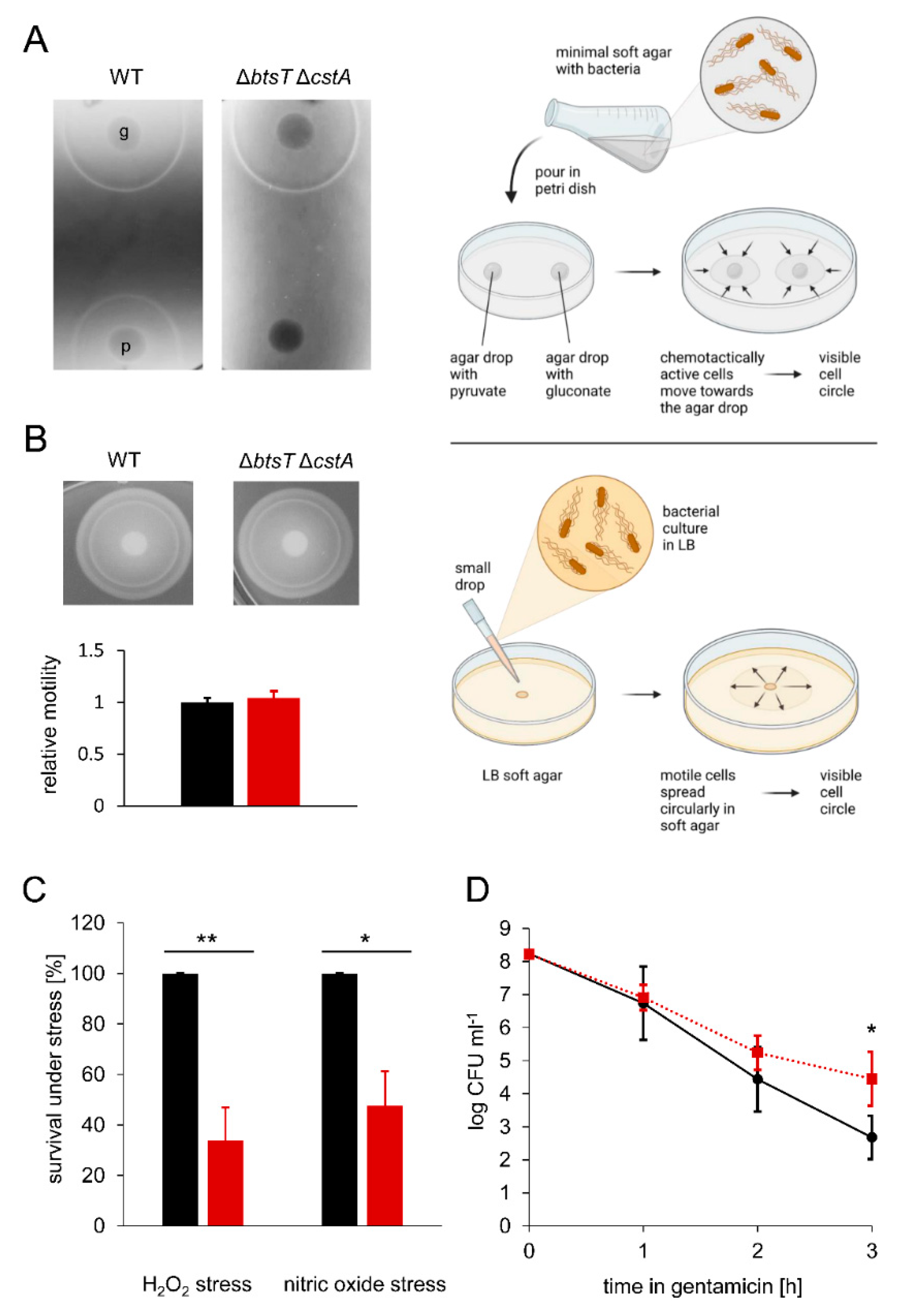 Microorganisms 10 01751 g004 Microorganisms 10 01751 g004