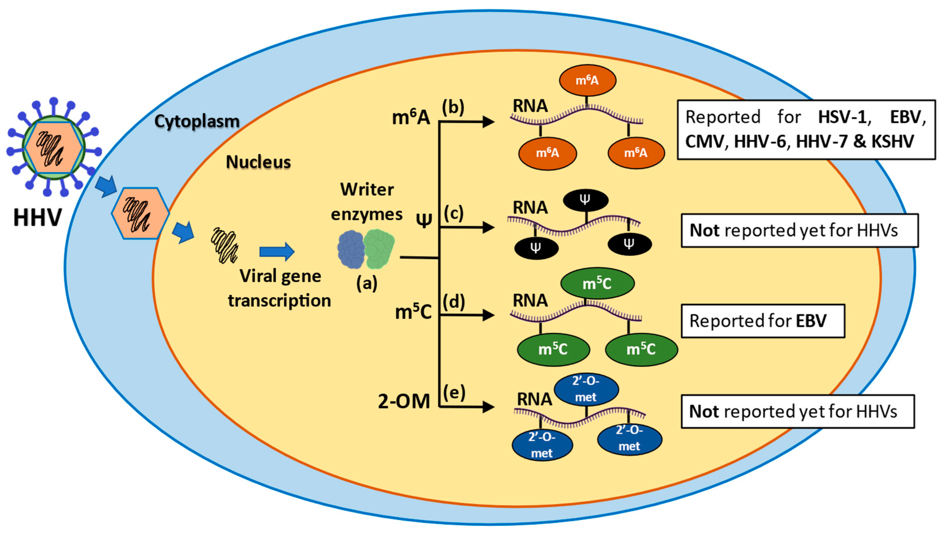 Microorganisms 10 01754 g001 Microorganisms 10 01754 g001