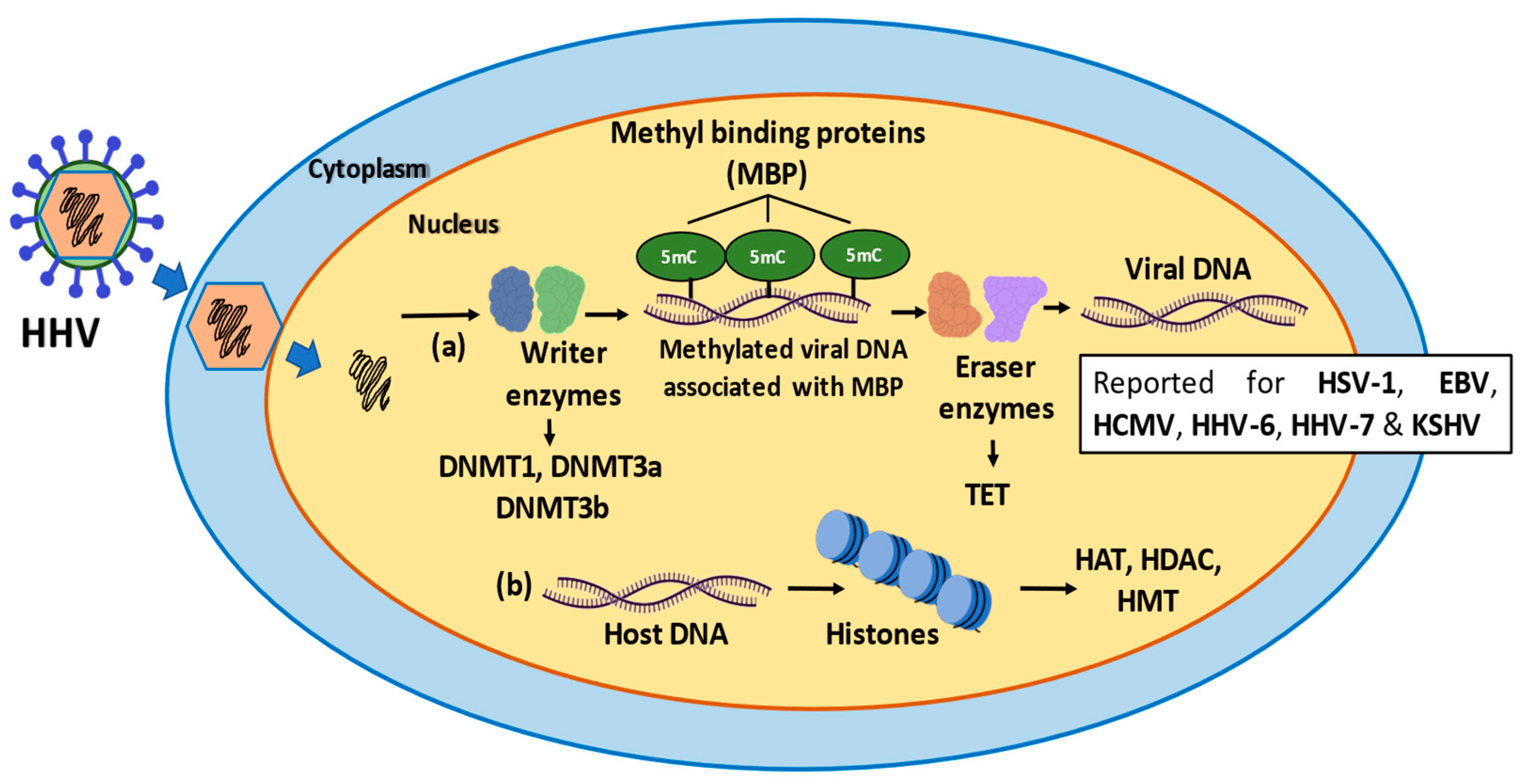 Microorganisms 10 01754 g002 Microorganisms 10 01754 g002