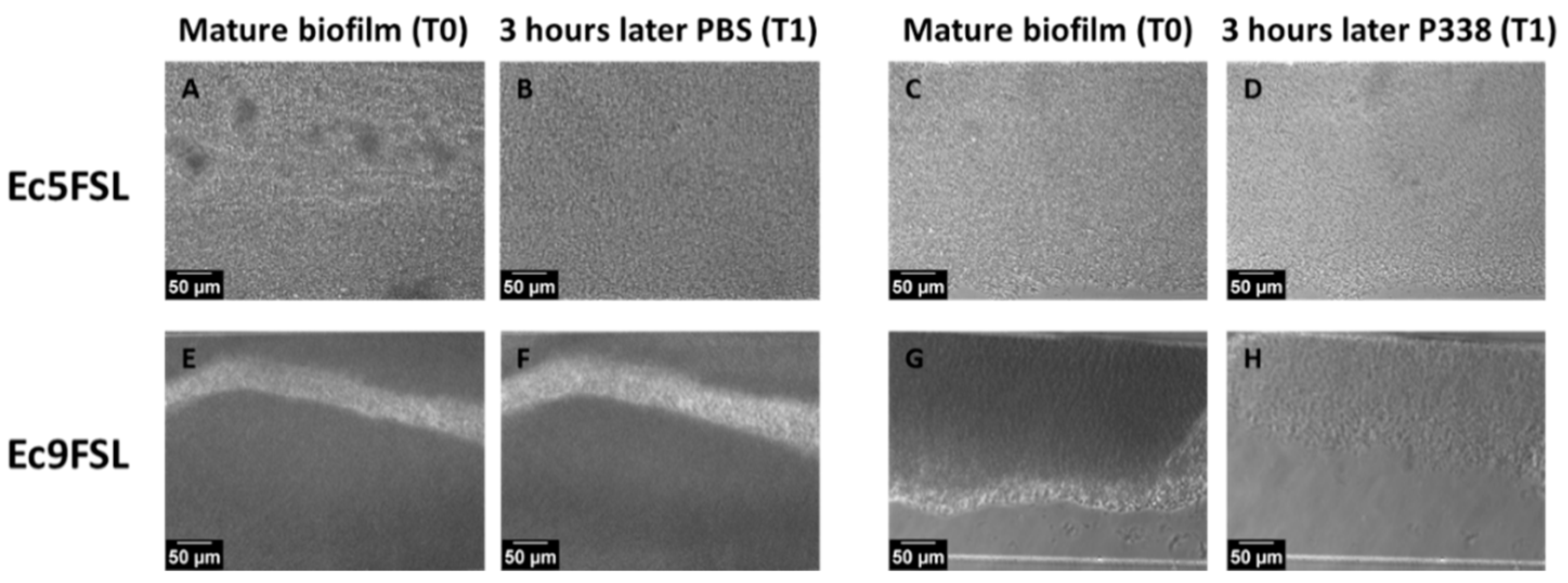 Microorganisms 10 01757 g003