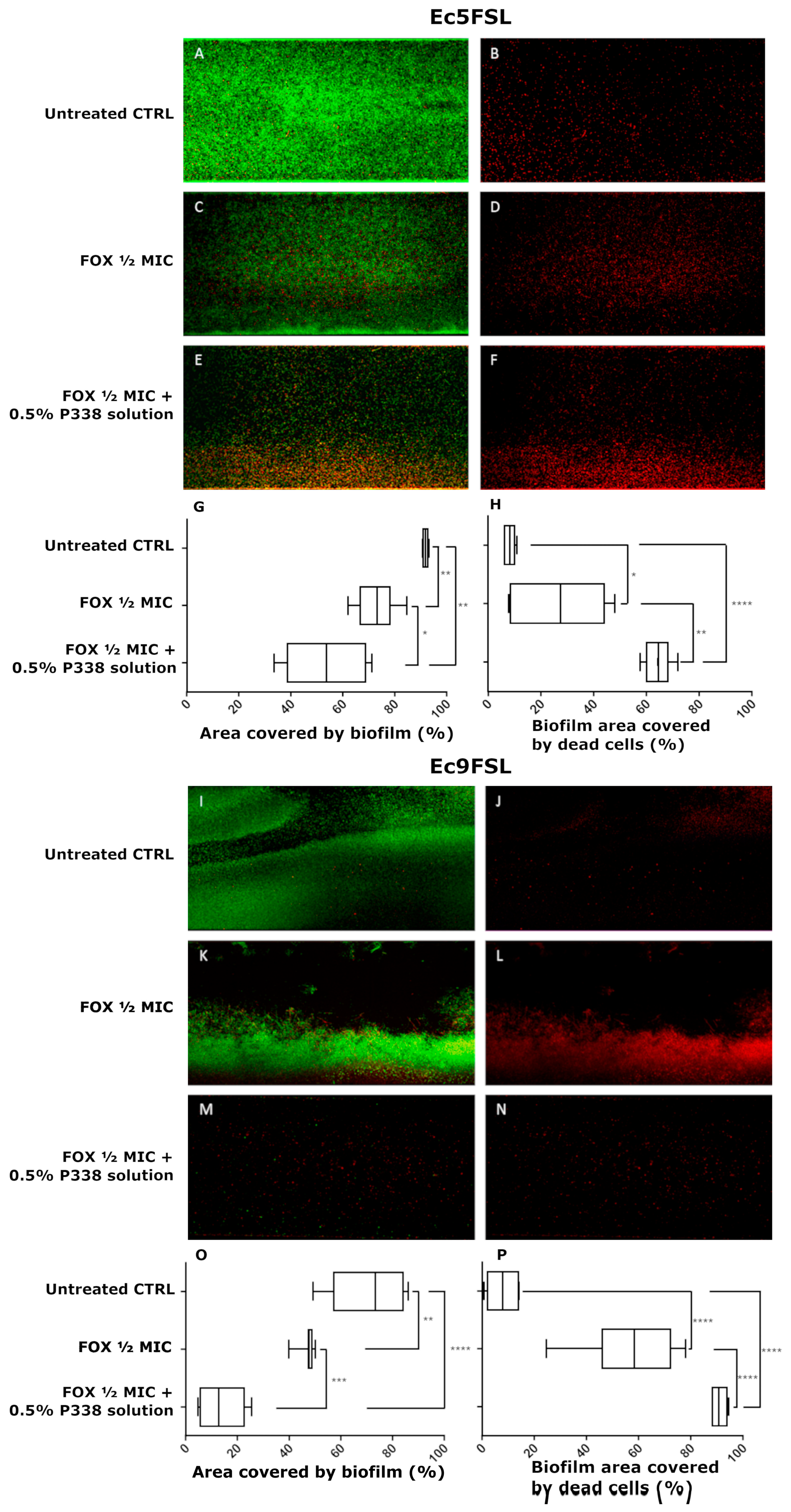 Microorganisms 10 01757 g006