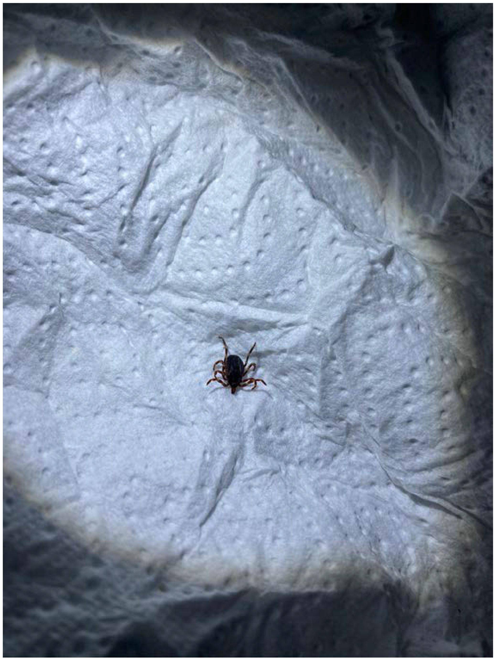 Microorganisms 10 01761 g003