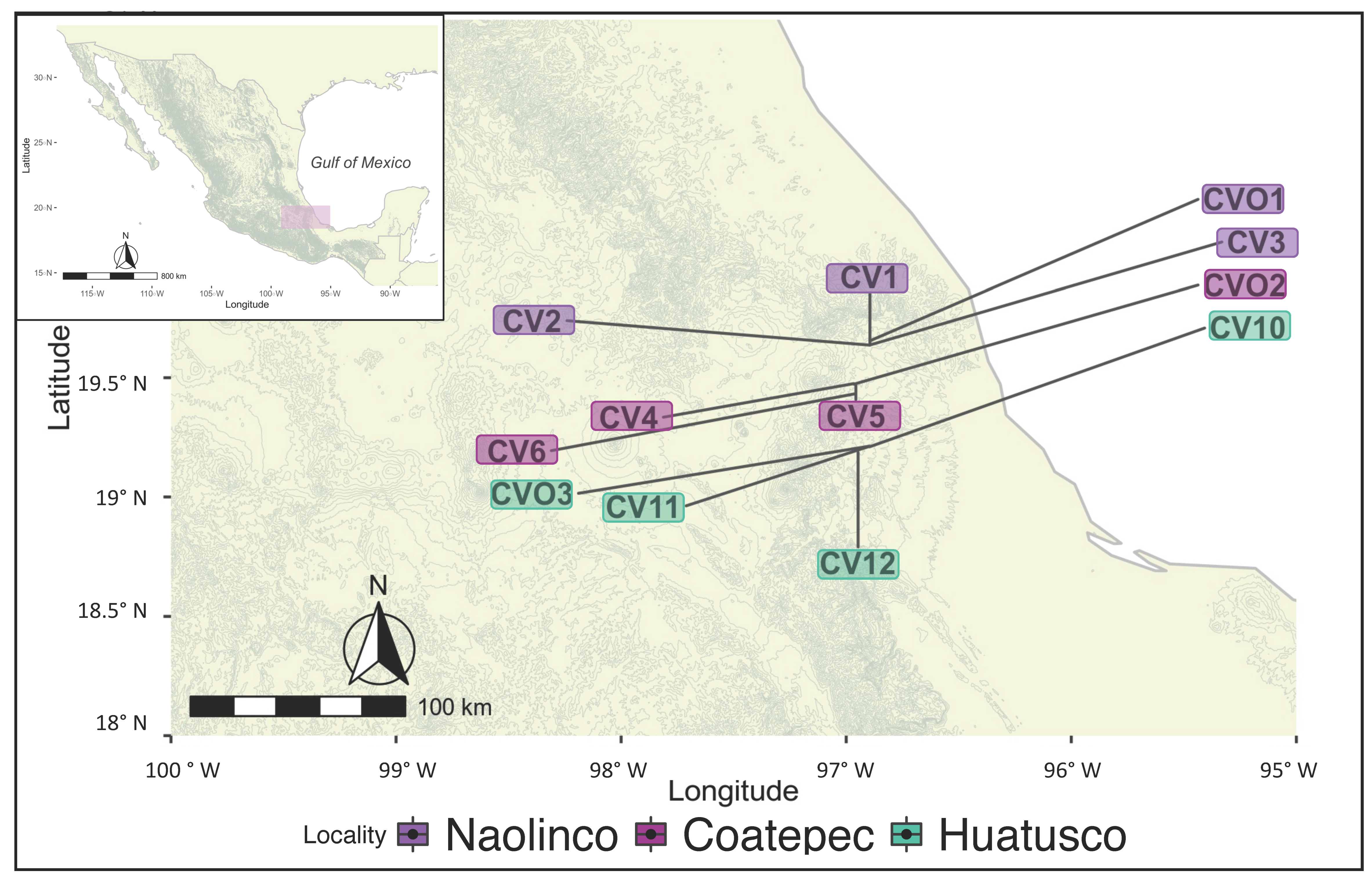 Microorganisms 10 01763 g001