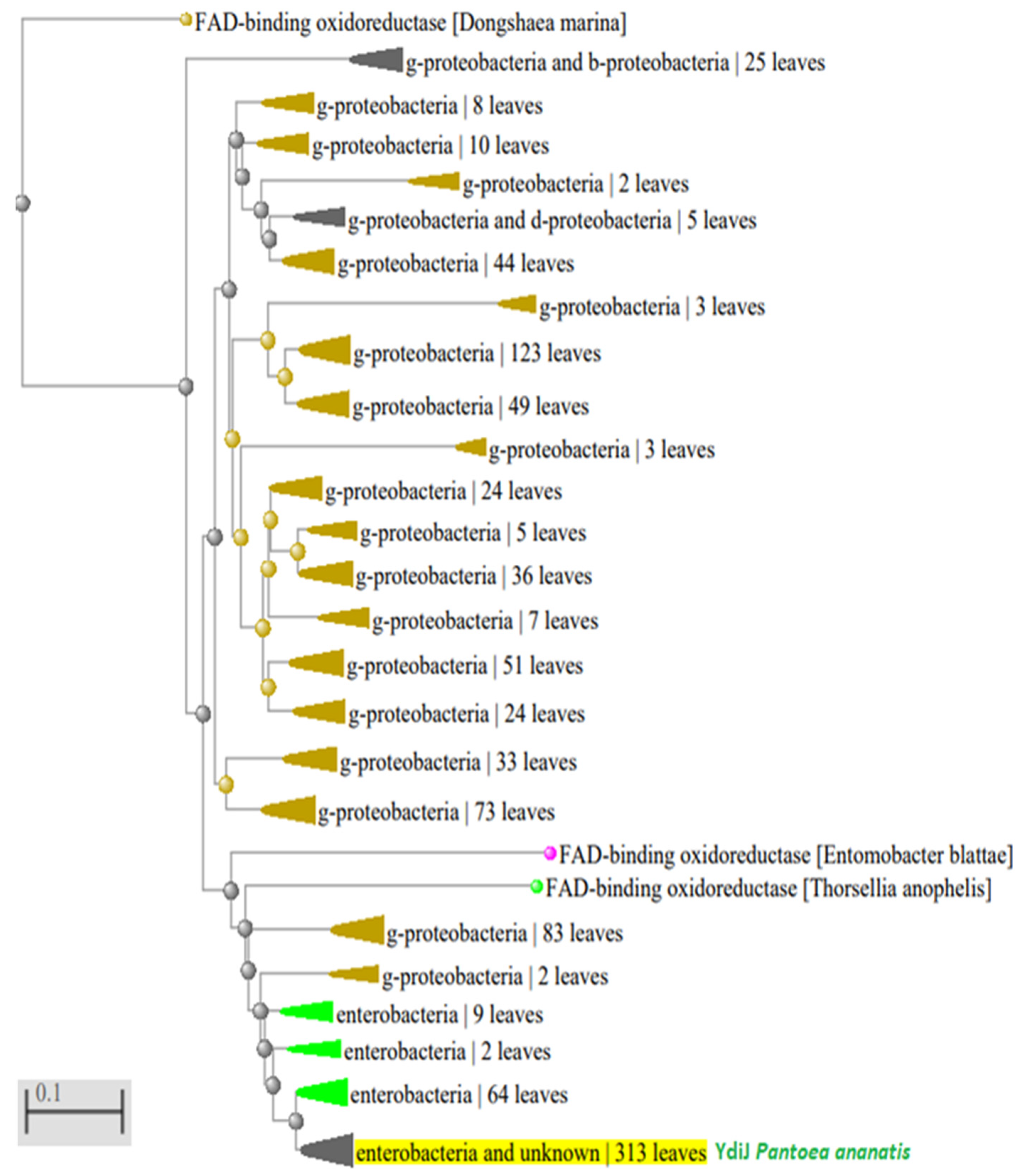 Microorganisms 10 01766 g008