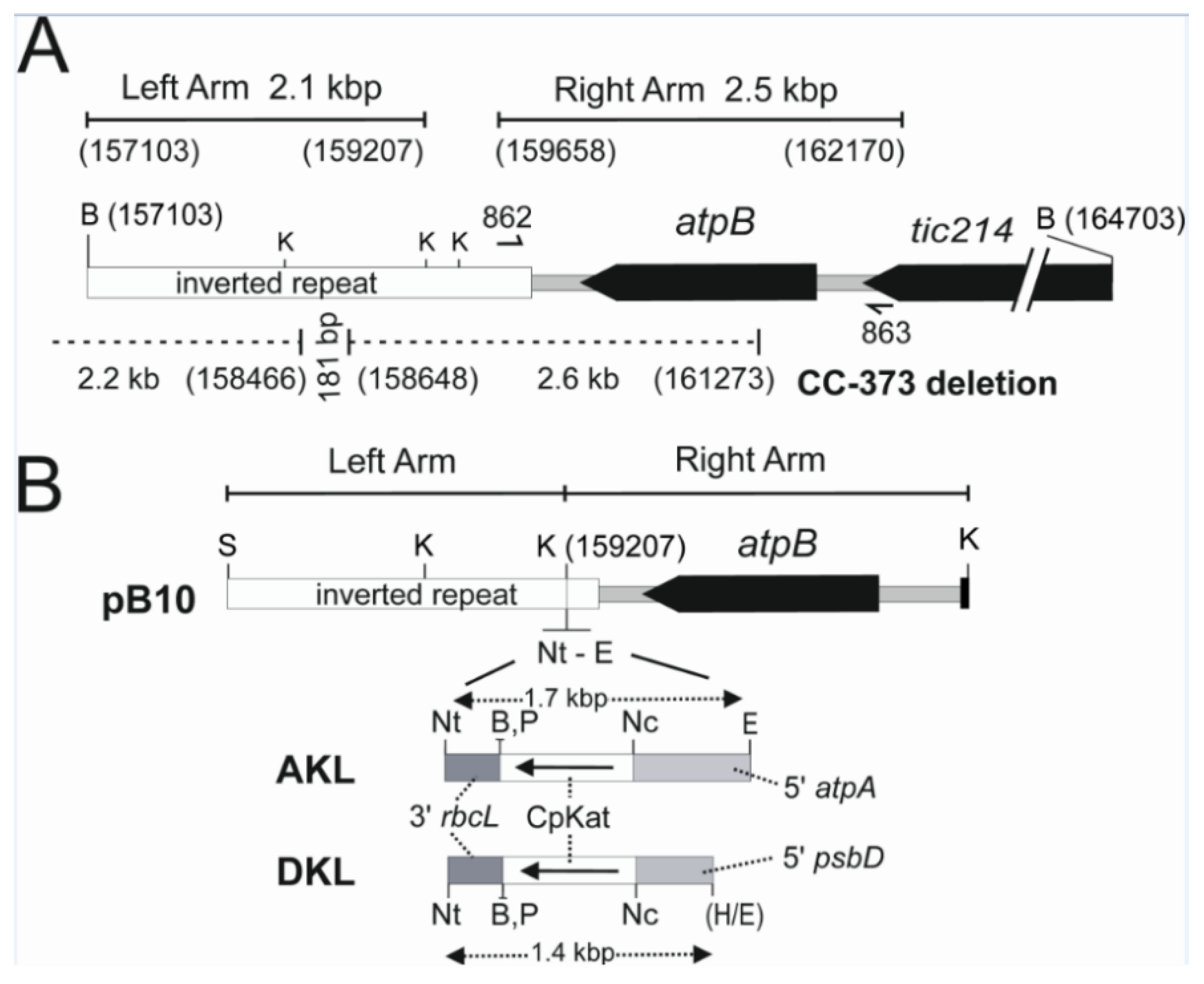 Microorganisms 10 01770 g002 Microorganisms 10 01770 g002