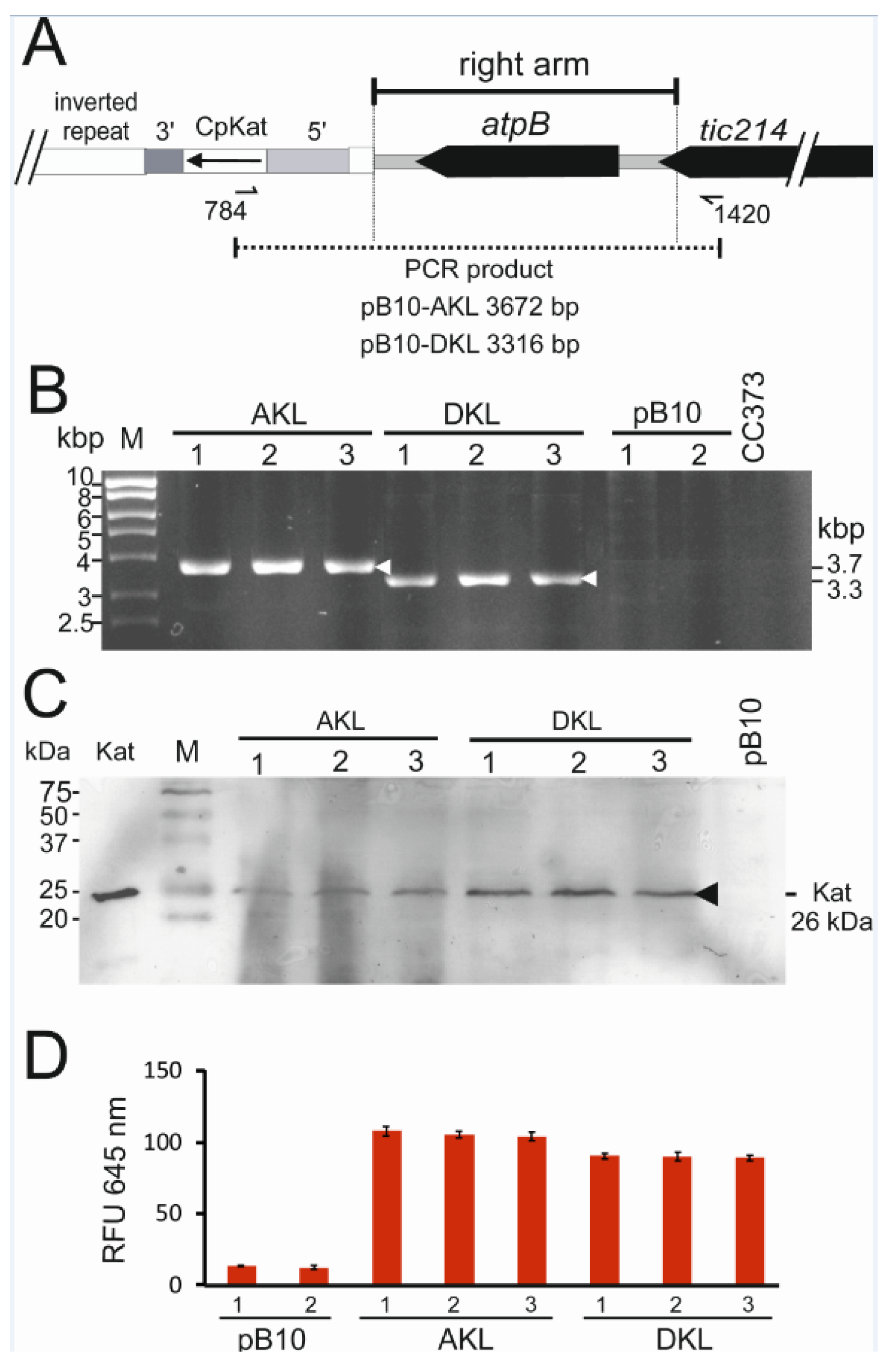 Microorganisms 10 01770 g003 Microorganisms 10 01770 g003